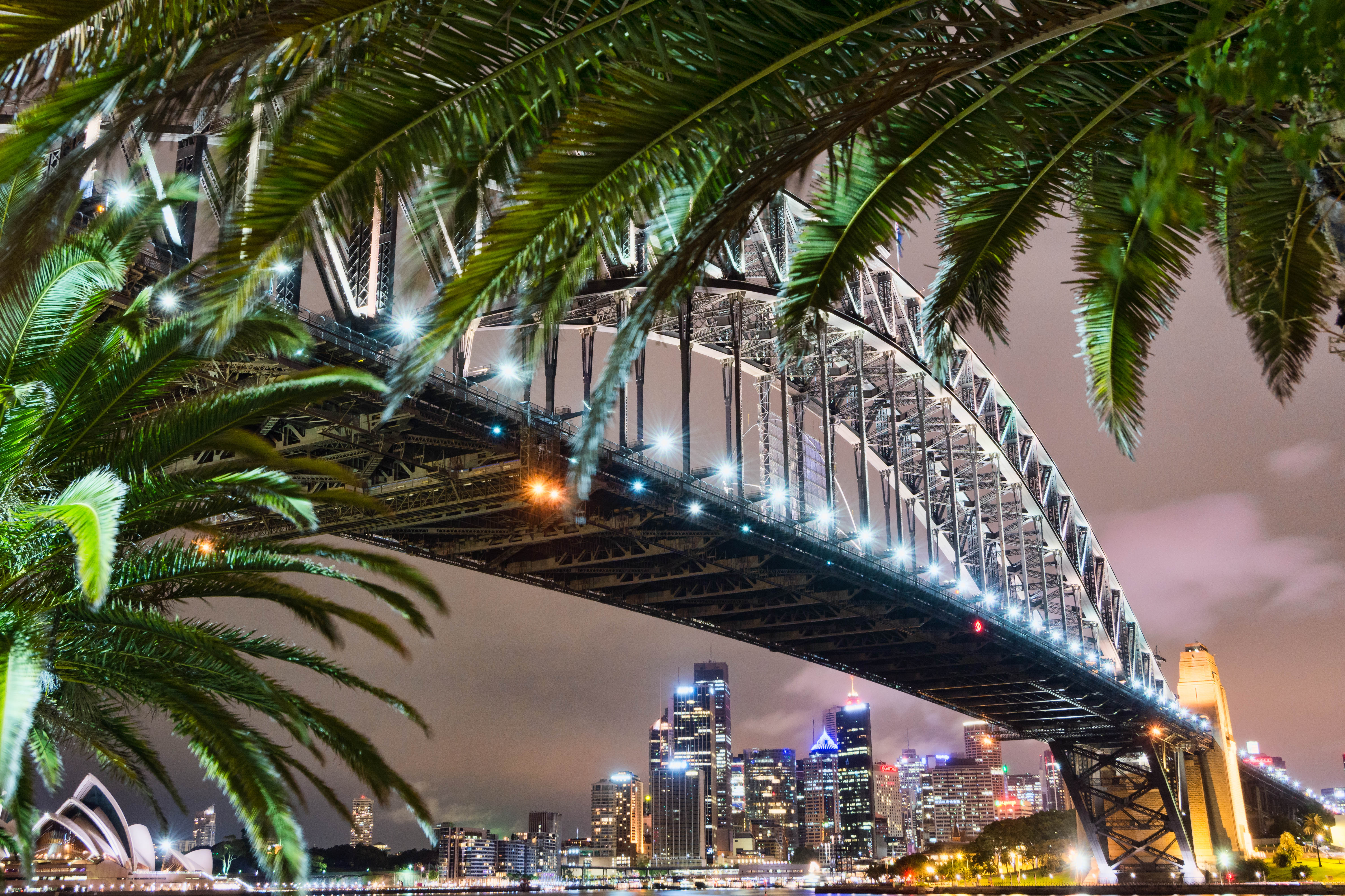 Sydney Harbour Bridge Sydney Sydney Opera House Palm Tree City Australia 6000x4000