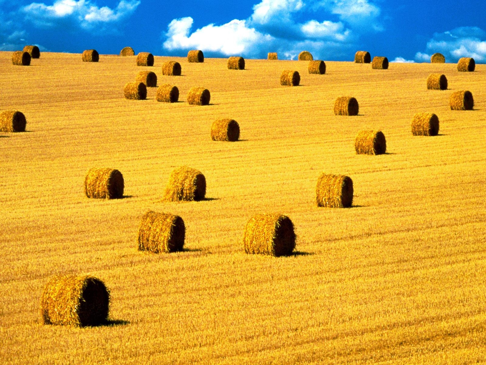 Haystacks Landscape Field Farm 1600x1200