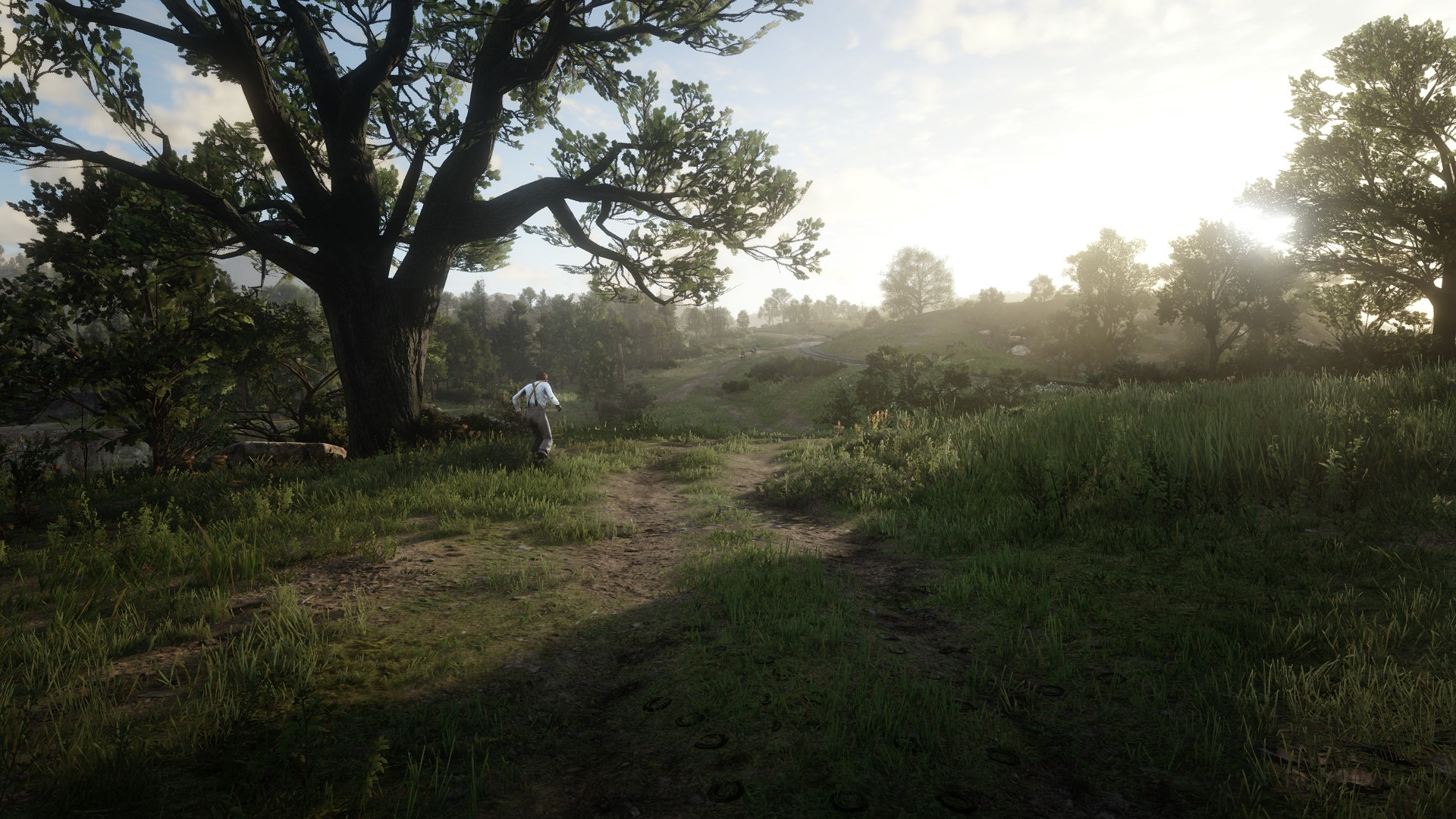 Red Dead Redemption 2 PCMR Environment Screen Shot Video Games 1920x1080