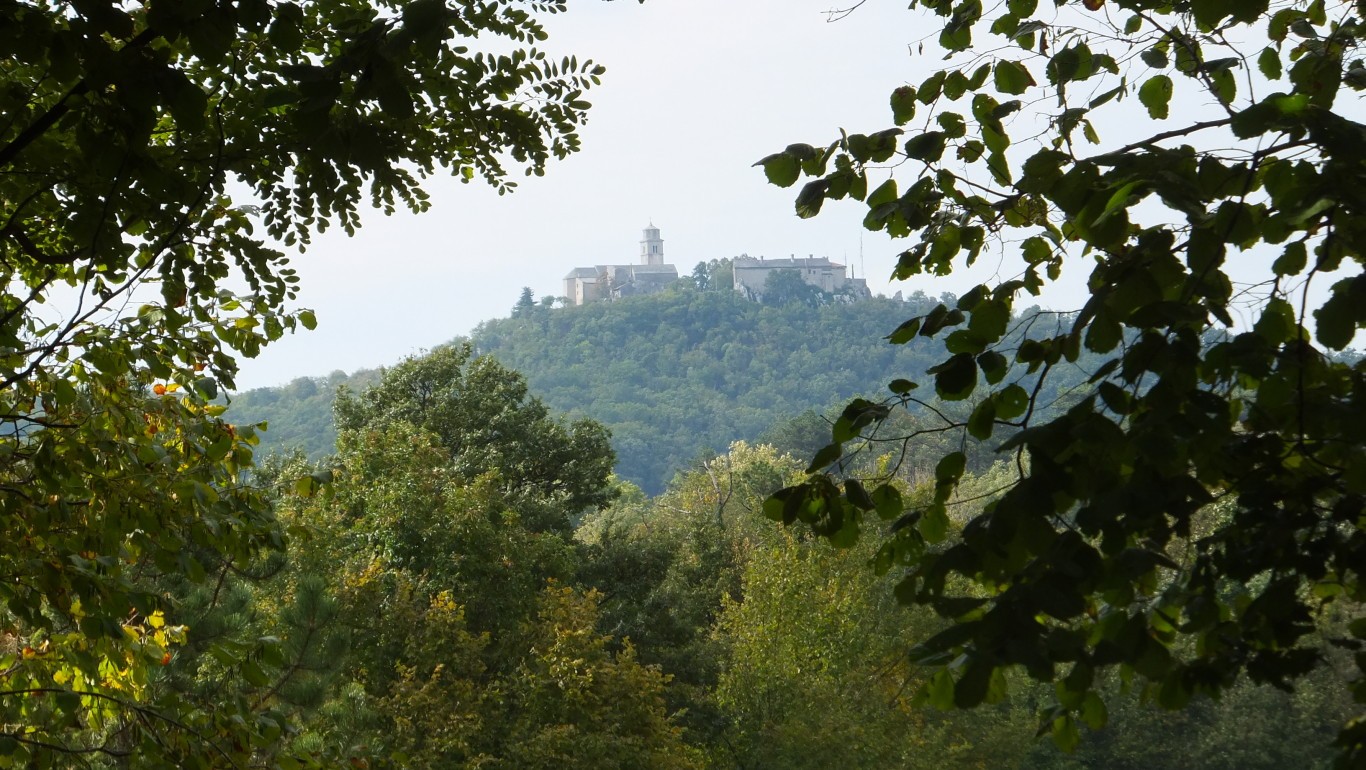 Sanctuary Italy Plants Outdoors 1366x770