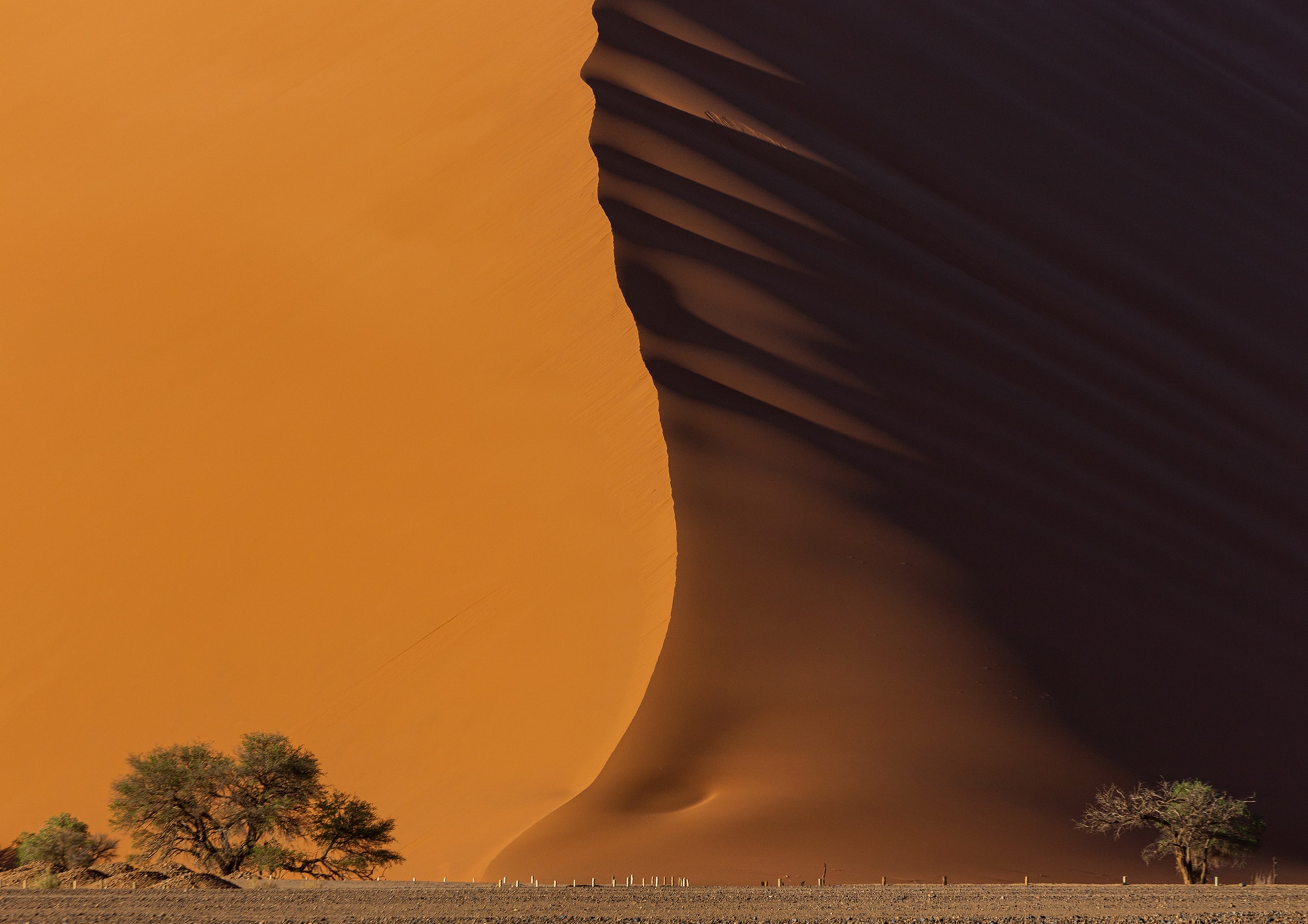 Nature Landscape Dunes Desert Namibia 1920x1357