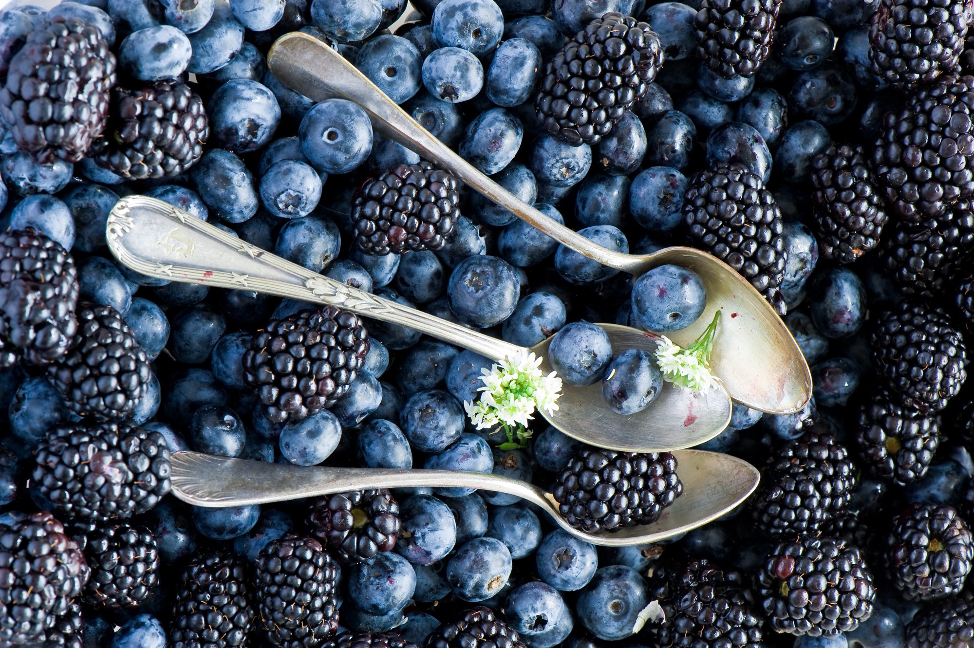 Blueberries Food Spoons Berries Blackberries Fruit 2000x1331