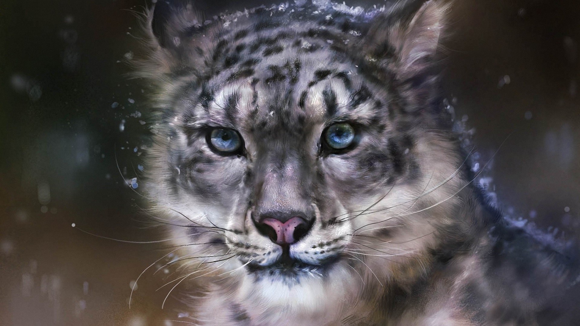 Snow Leopards Animals Artwork Digital Art Leopard Animal 1920x1080