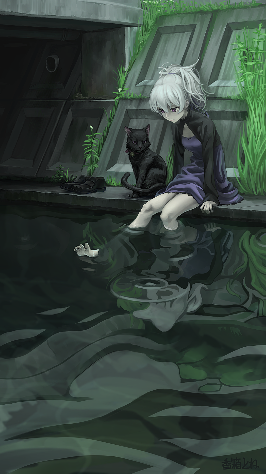 Darker Than Black Anime Girls Grey Hair Violet Eyes Yin Black Cats 2D Mao Fan Art 1080x1920