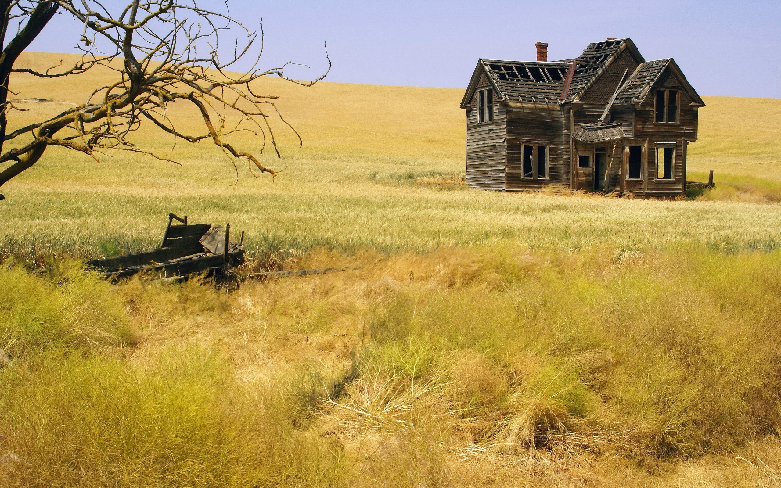 Abandoned Wood House Haunted Mansion Landscape Ruin Hay 2560x1600