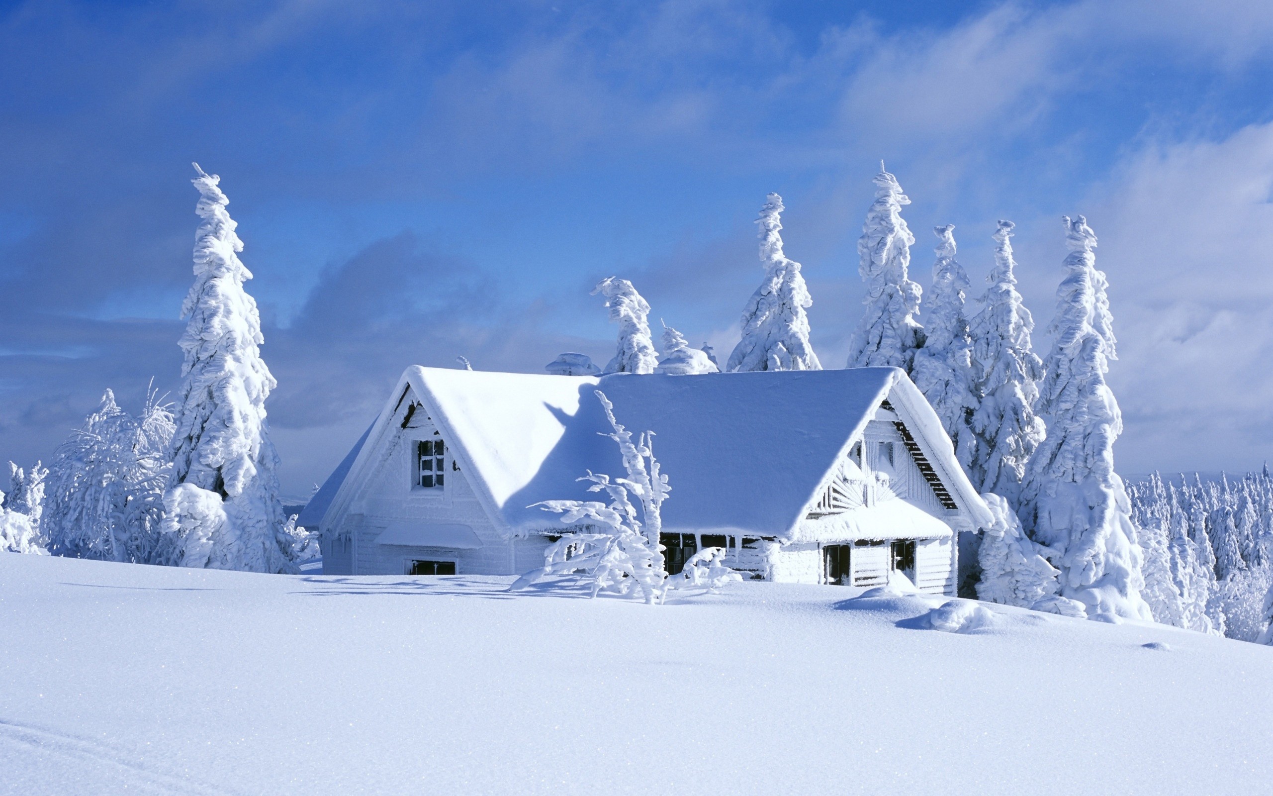 Cabin Hut Winter Snow Pine Trees Landscape Nordic Landscapes White 2560x1600