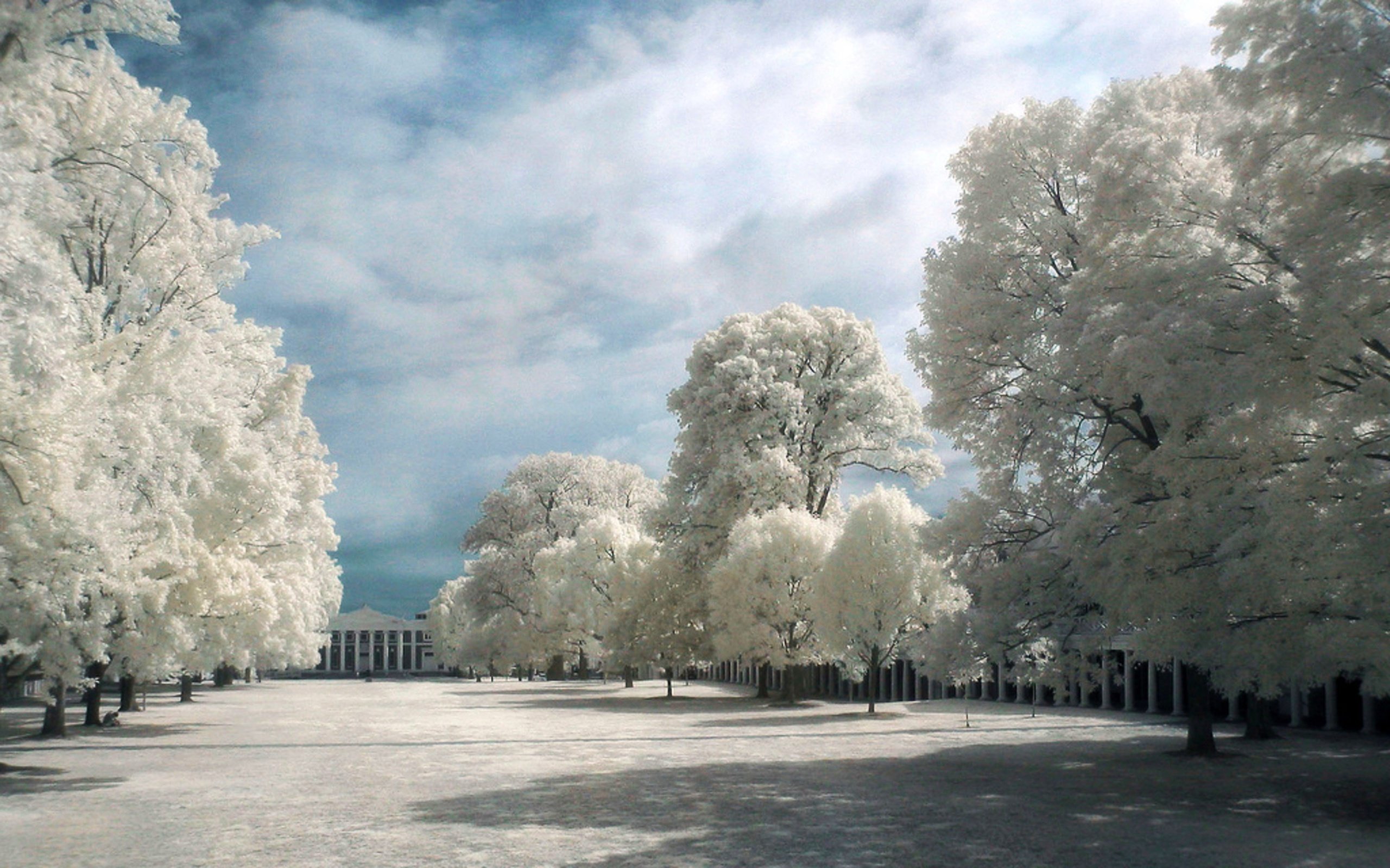 Photography Infrared 2560x1600