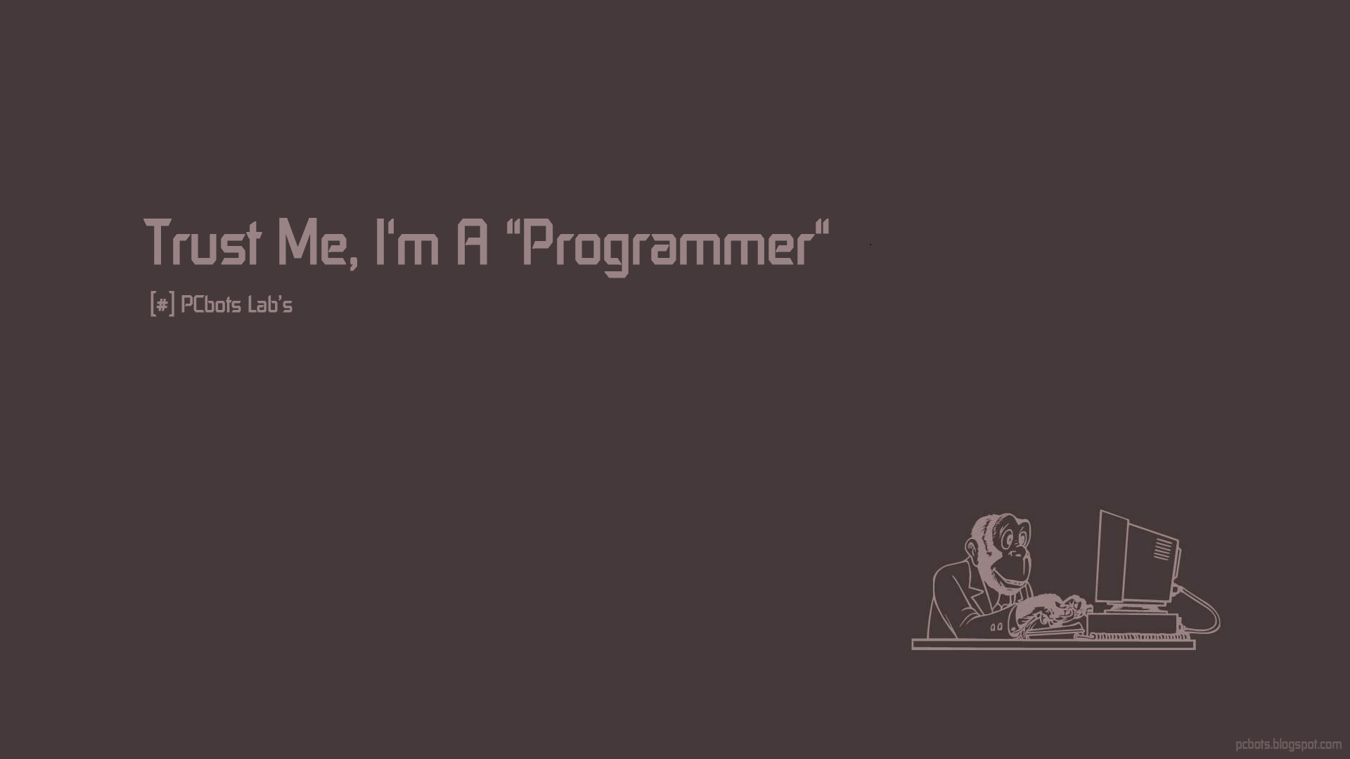 Humor Programmers Monkey Computer 1920x1080