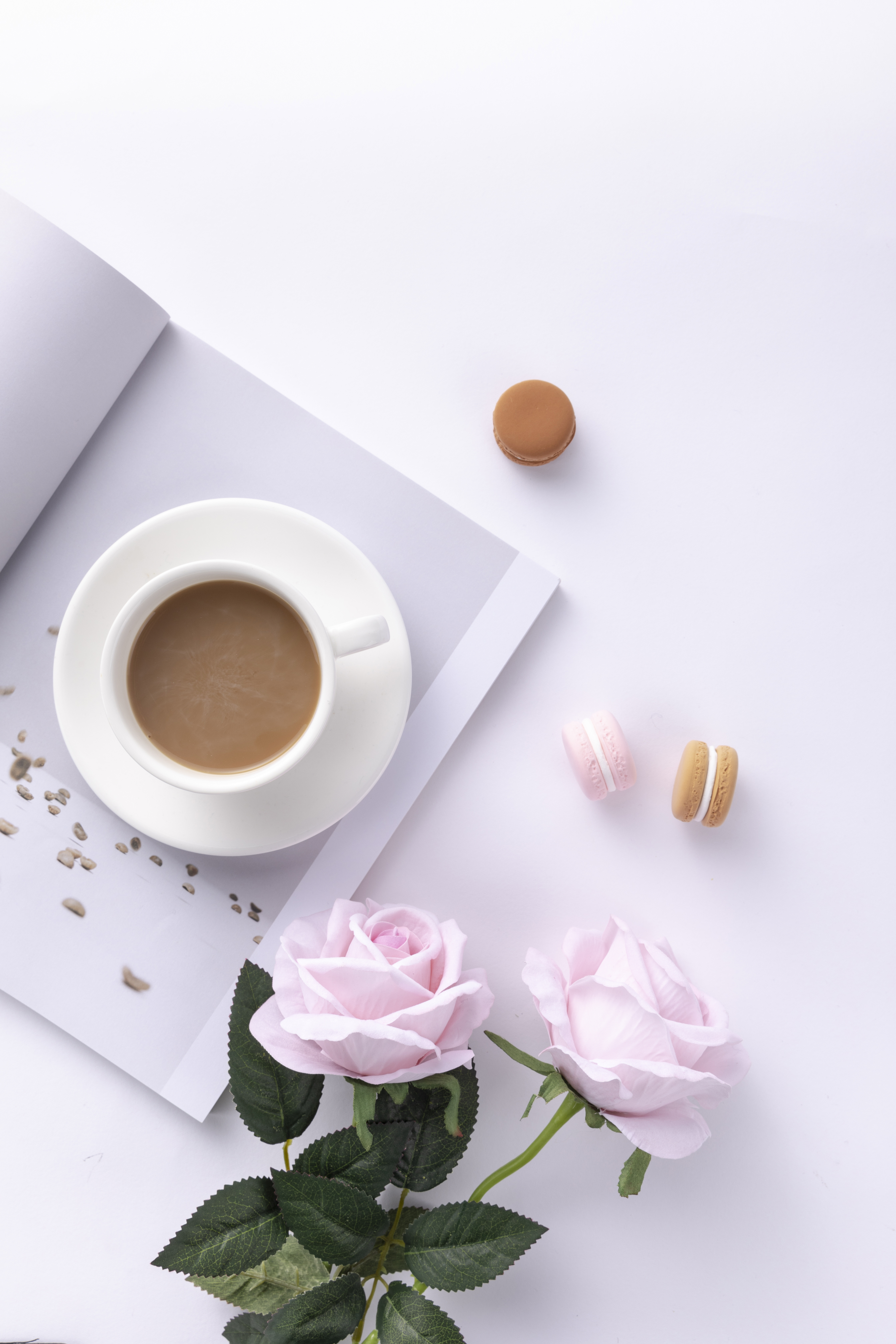 Coffee Coffee Cup Book Cover Macarons White Flowers 4480x6720