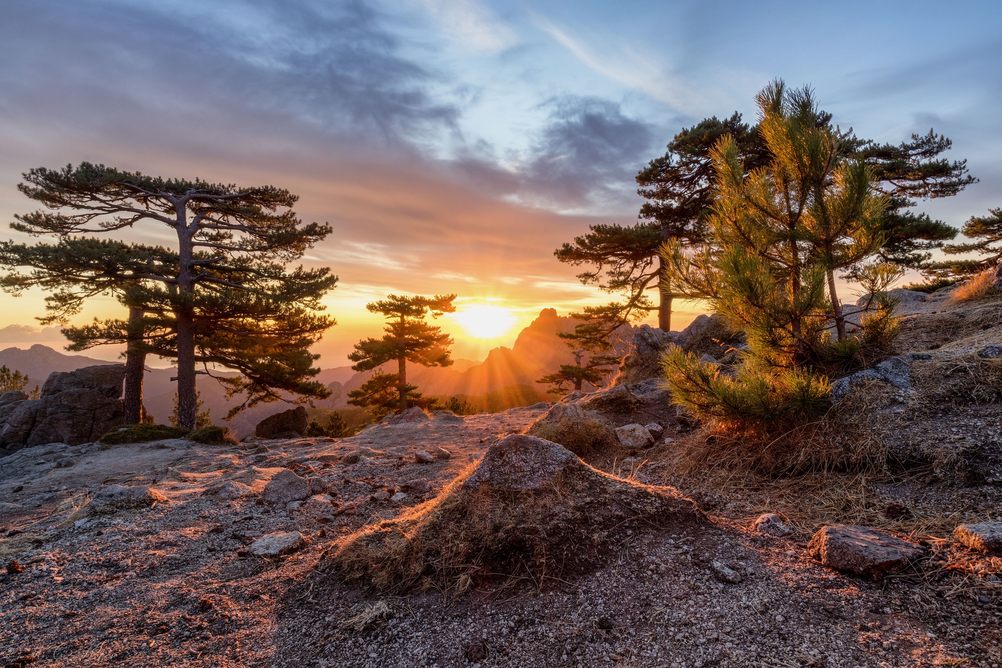 Nature Sky Landscape Trees Sunlight 2048x1365