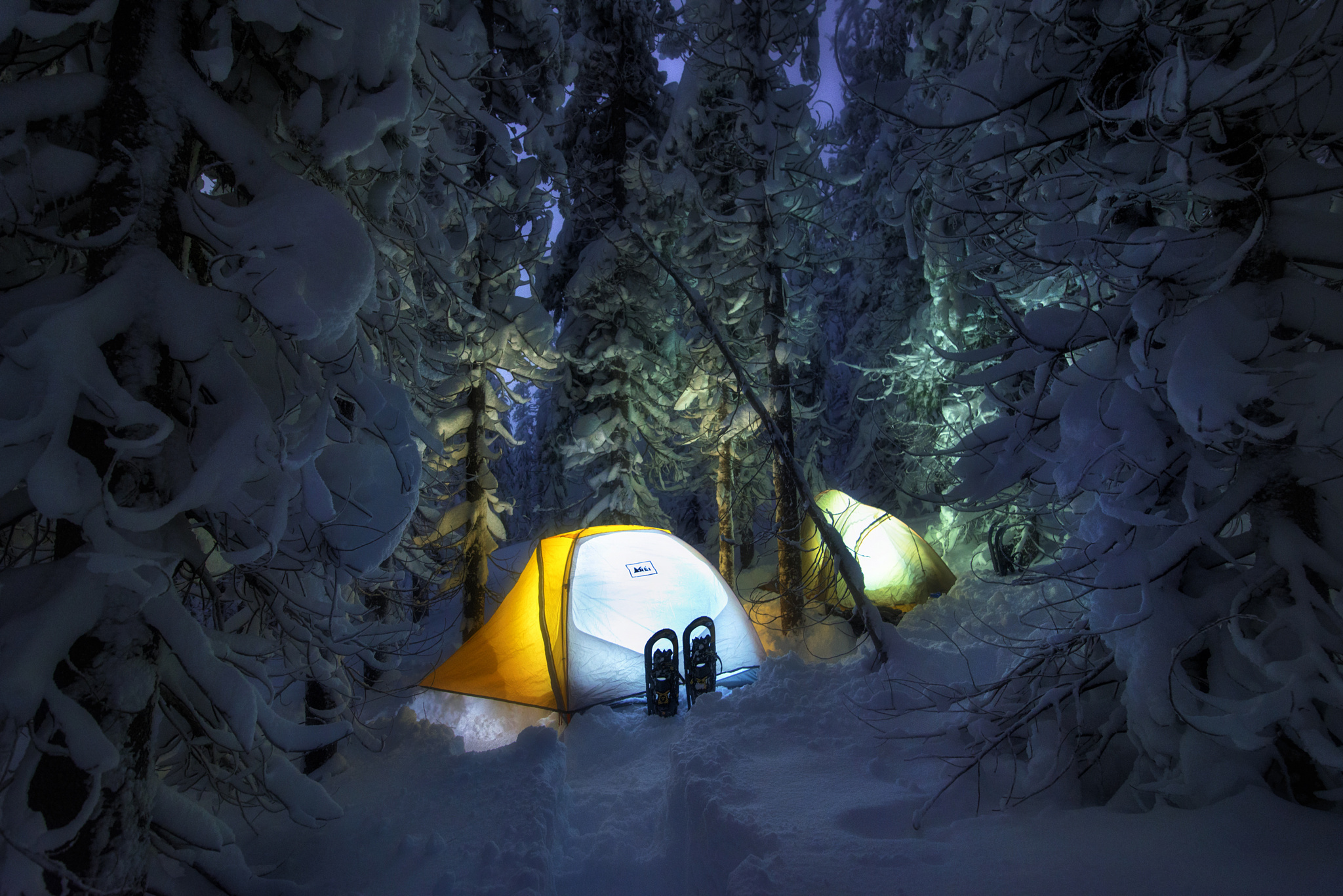 Camping Snow Forest Evening Nature Tent 2048x1367