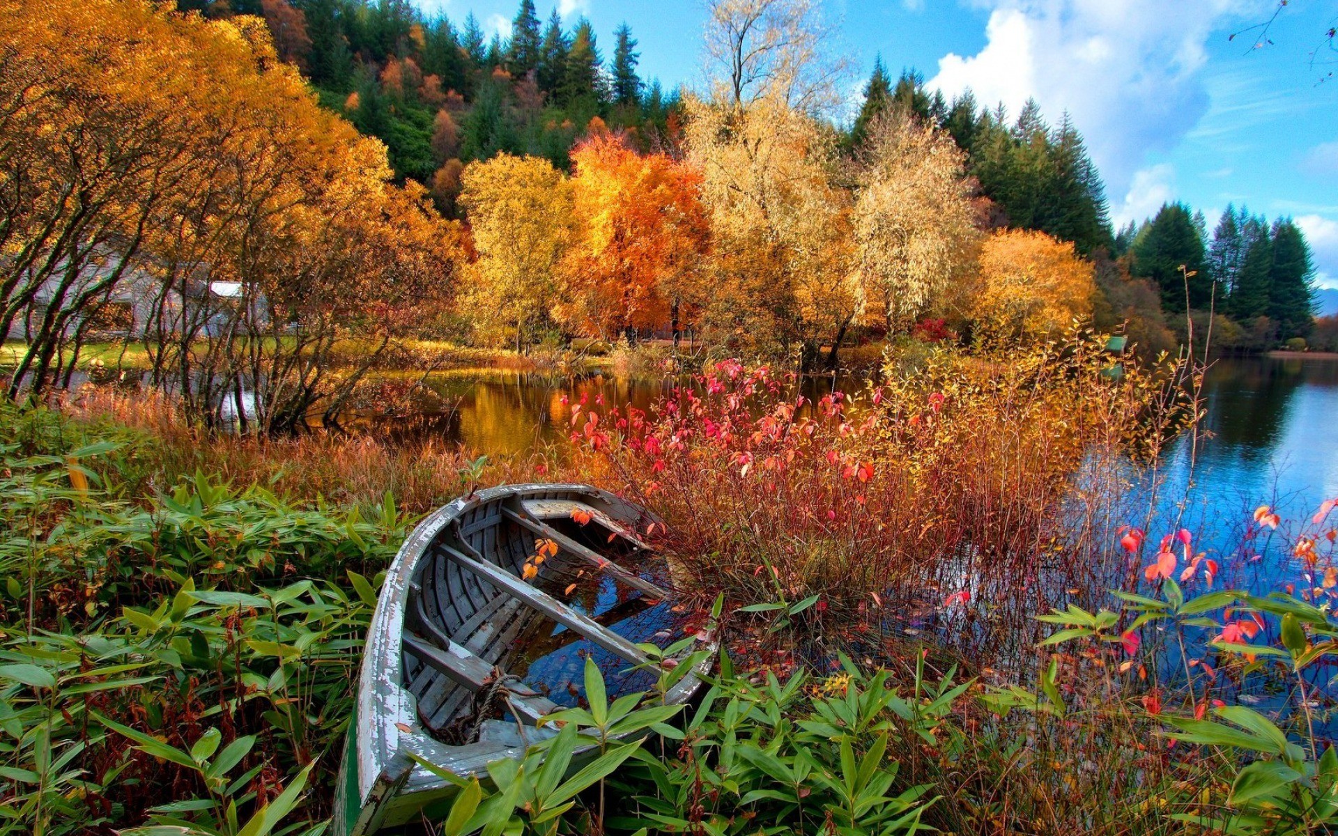 Lake Forest Nature Canoes Trees Fall Landscape Boat 1920x1200