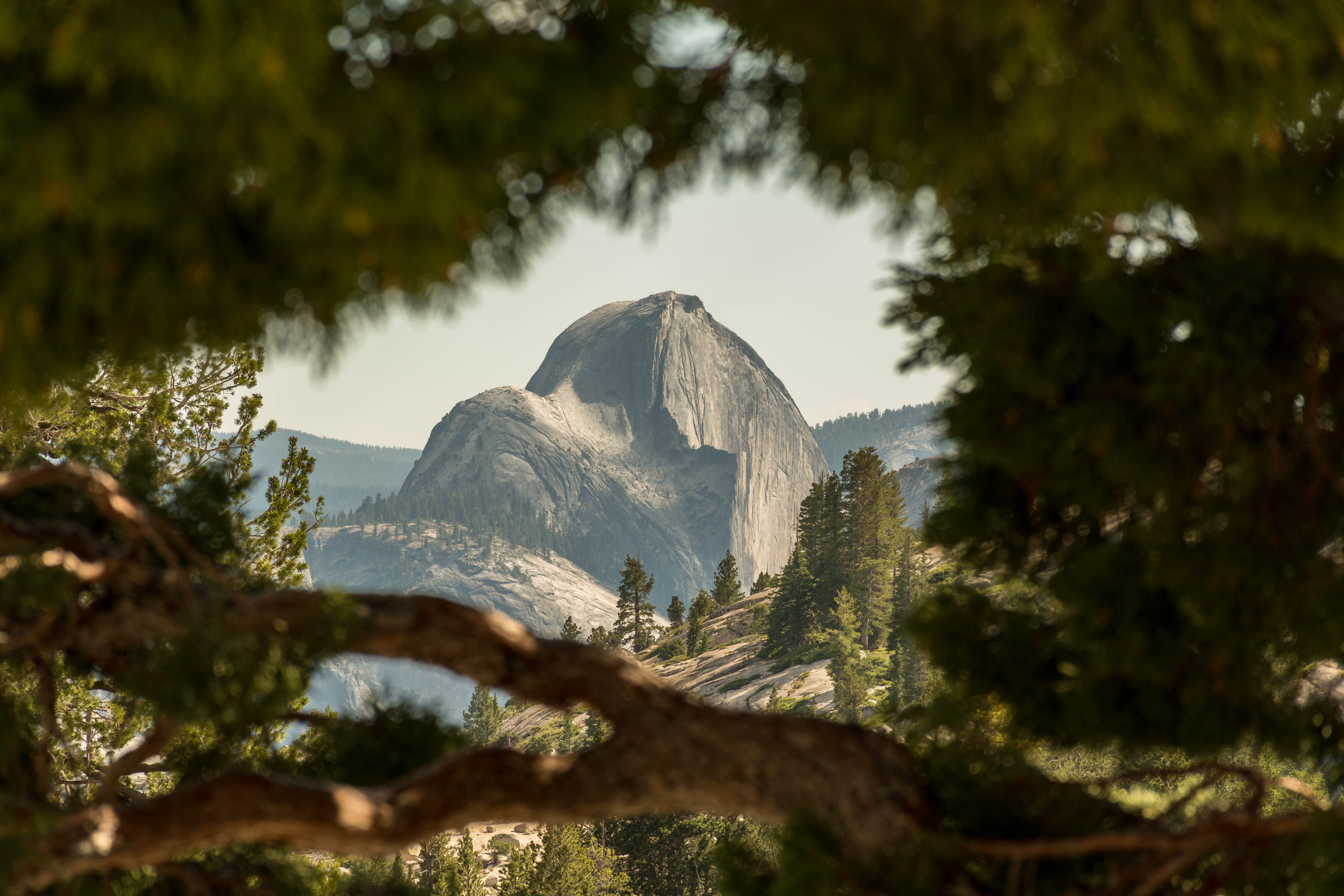 Half Dome Yosemite National Park California USA 6000x4000