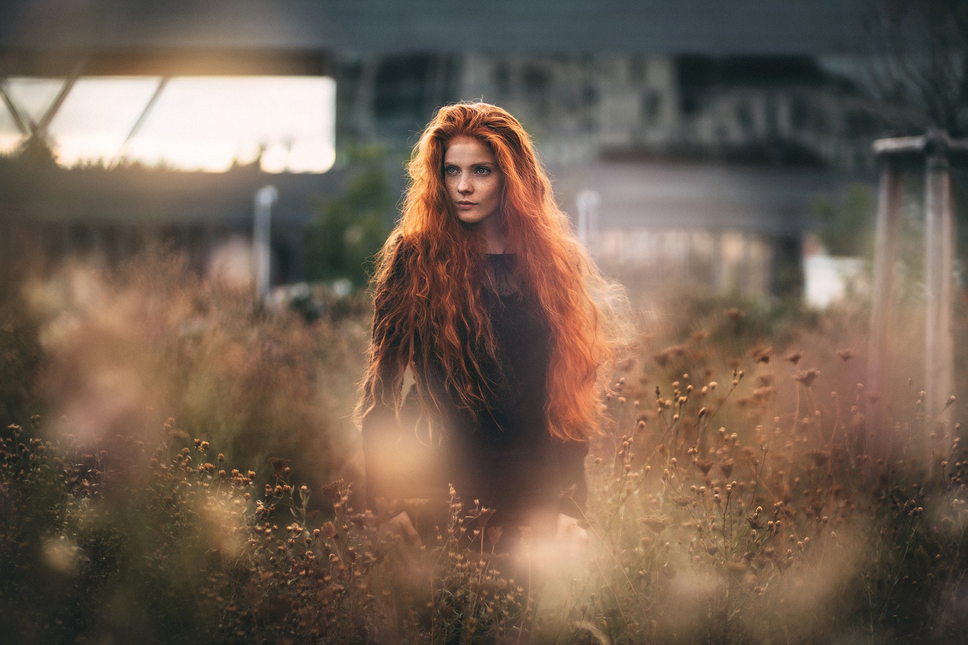 Women Model Redhead Blue Eyes Long Hair Women Outdoors Depth Of Field Freckles Dress Wavy Hair Marti 1920x1280