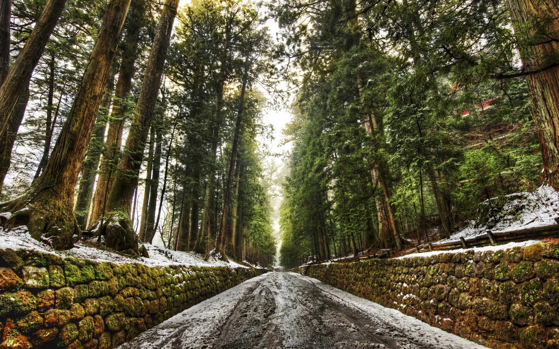 Road Snow Wall Trees Dirt Road Winter Stone Wall Forest Dirt Moss 1920x1200