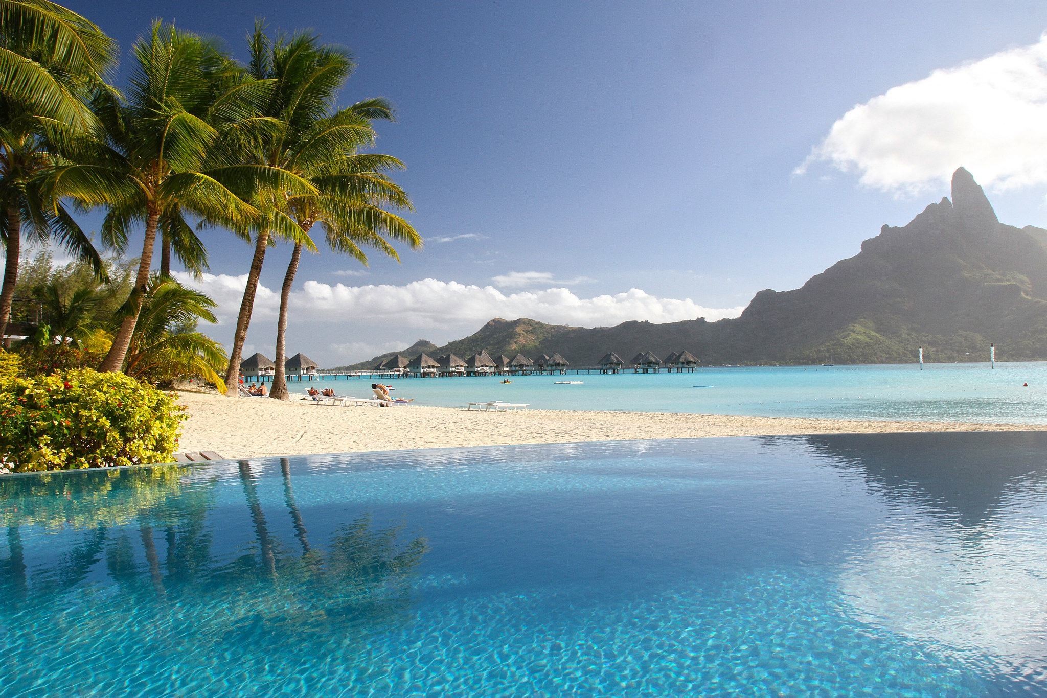 Tropical Palm Trees Landscape Beach 2048x1366