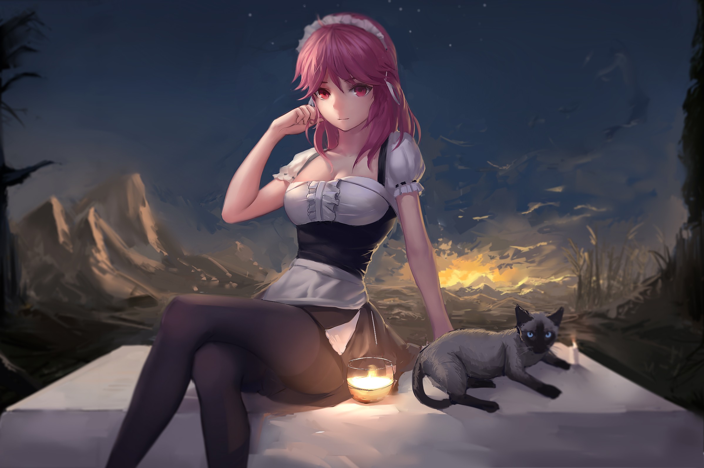 Anime Anime Girls Zhanjian Shaonu Maid Long Hair Pink Hair Pink Eyes Cats Night Sunset 2397x1596