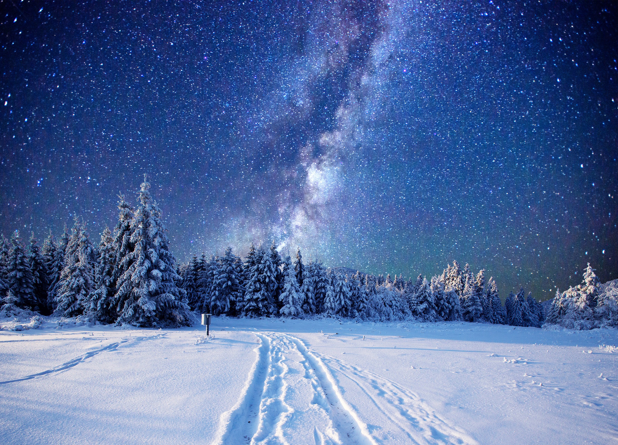 Landscape Night Winter Snow Starry Night Sky Forest Nordic Landscapes 2500x1800