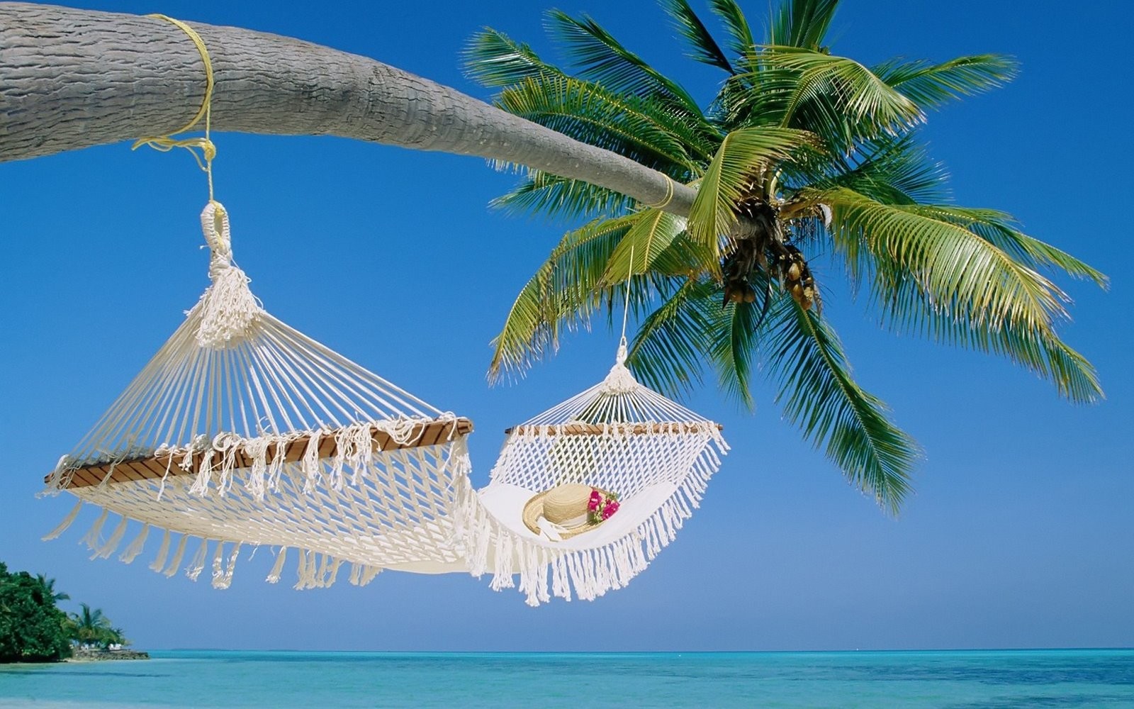 Hammocks Palm Trees Trees Outdoors Horizon Sea Tropical Clear Sky 1600x1000