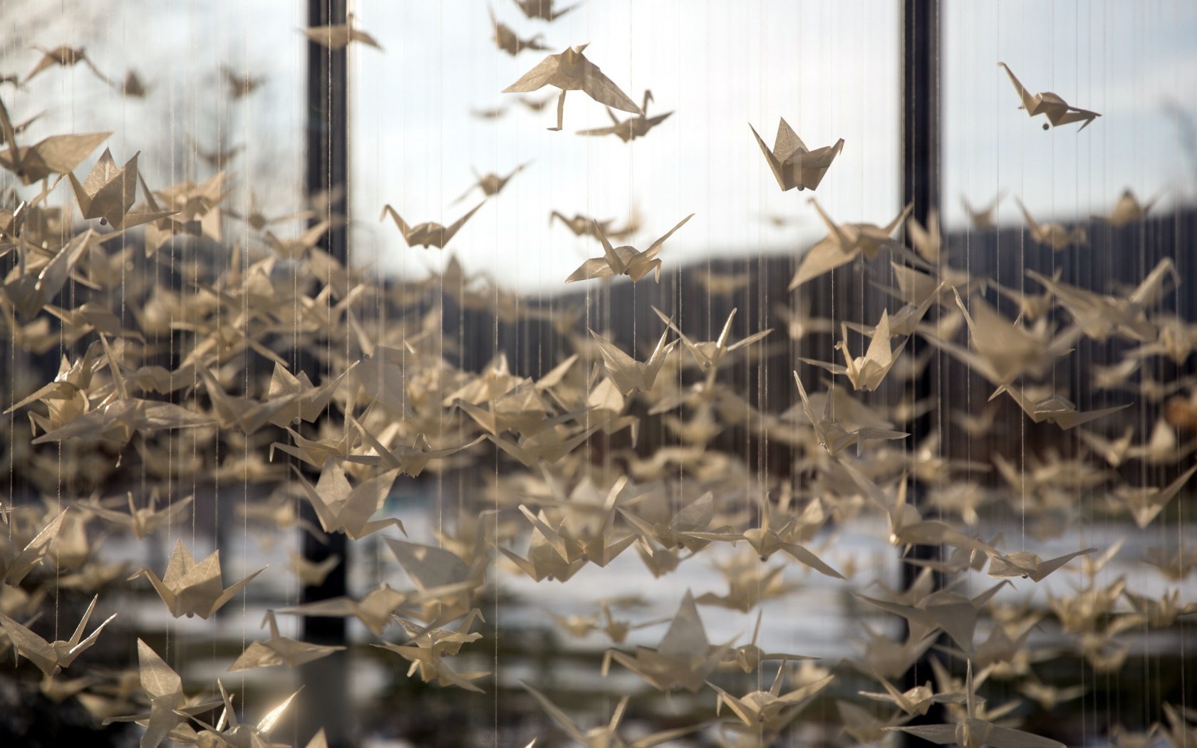 Origami Birds Cords Photography Paper Cranes 1680x1050