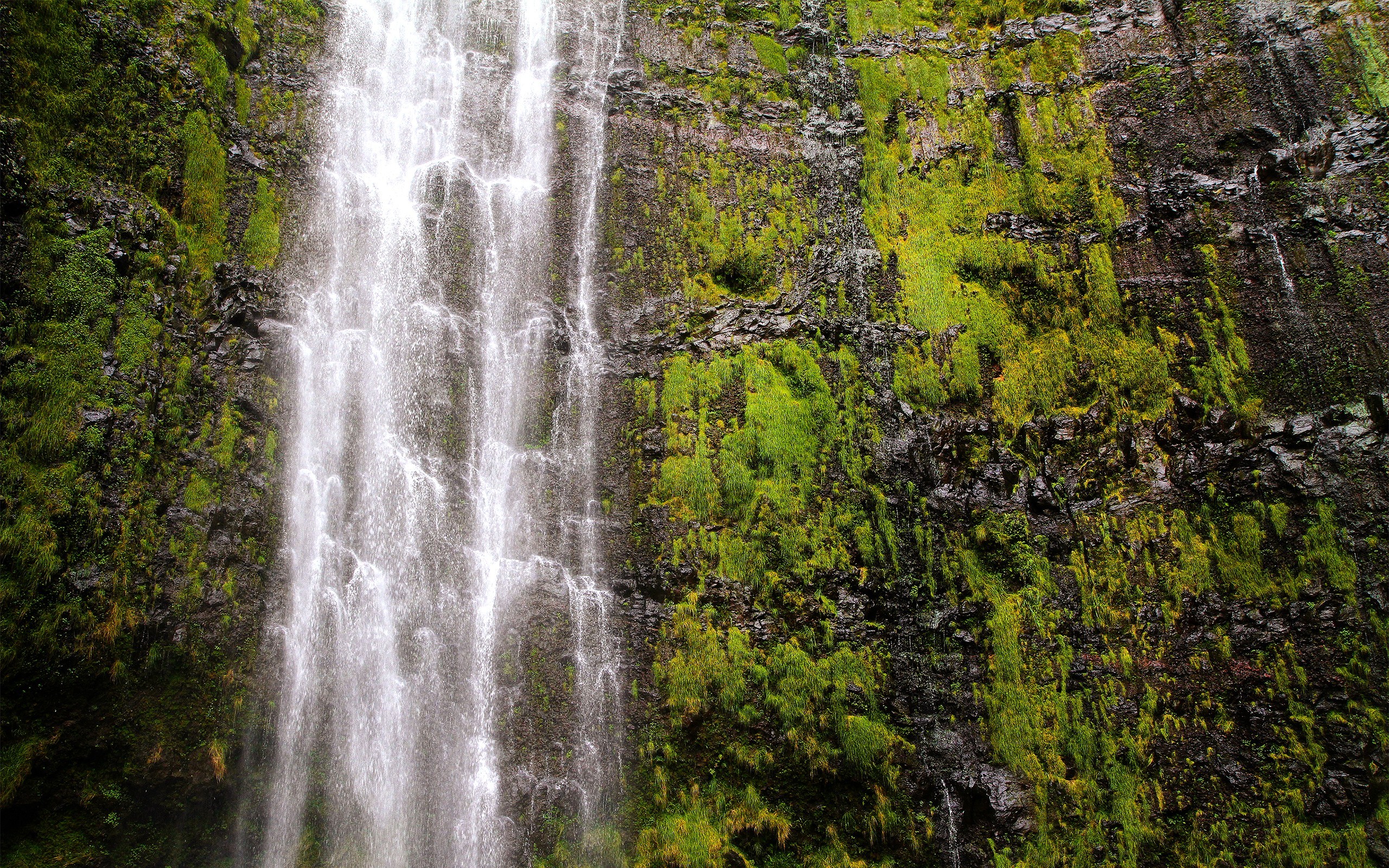Waterfall Stone Wall Moss 2560x1600