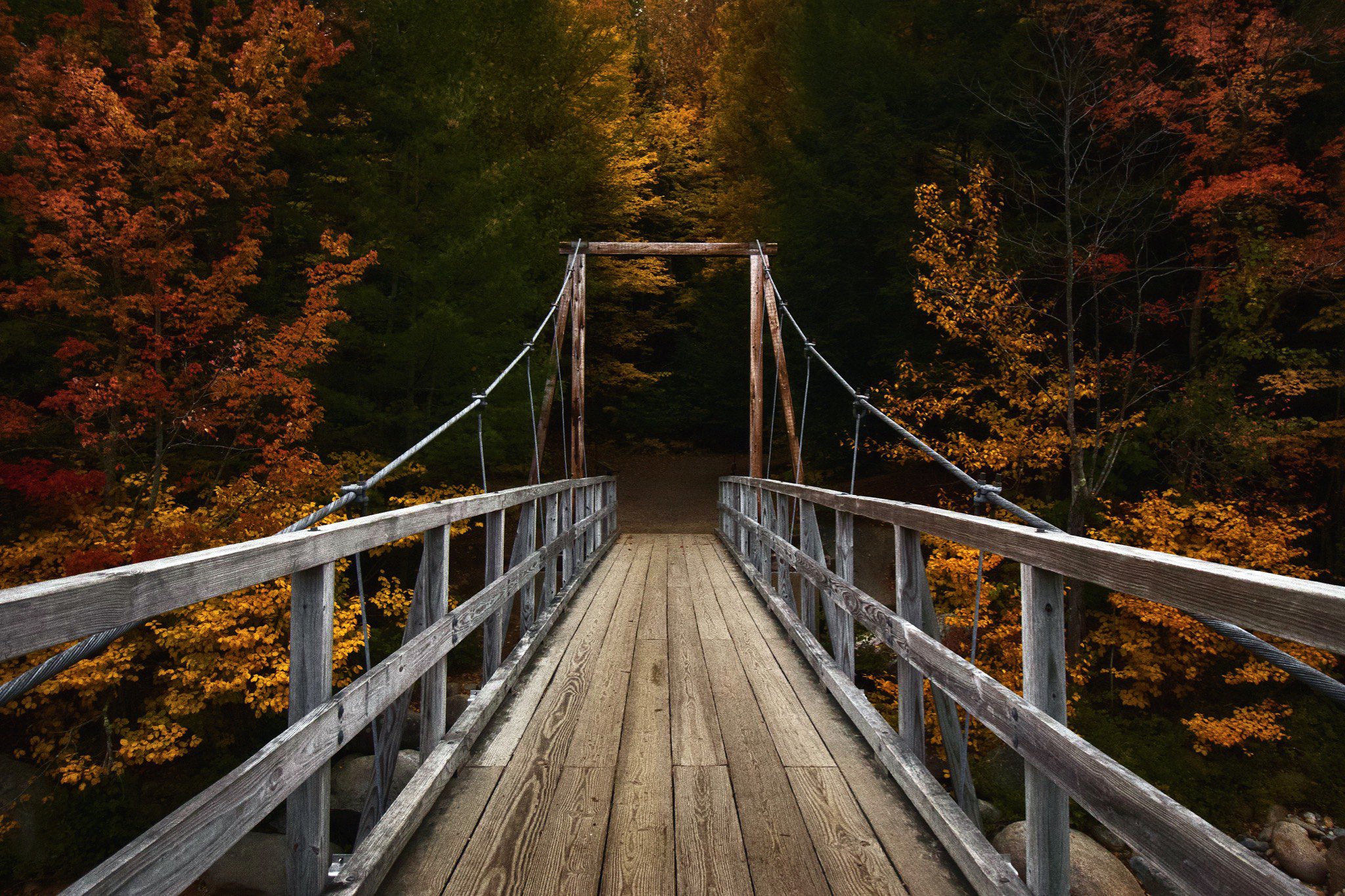 Bridge Wood Outdoors Wood Bridge Forest Red Leaves Nature 2048x1365
