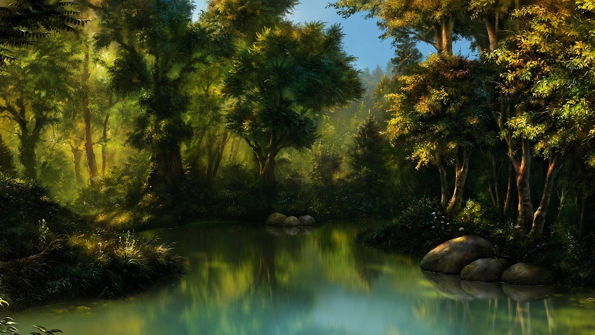 Forest Swamp Water Rock Thicket 1921x1080