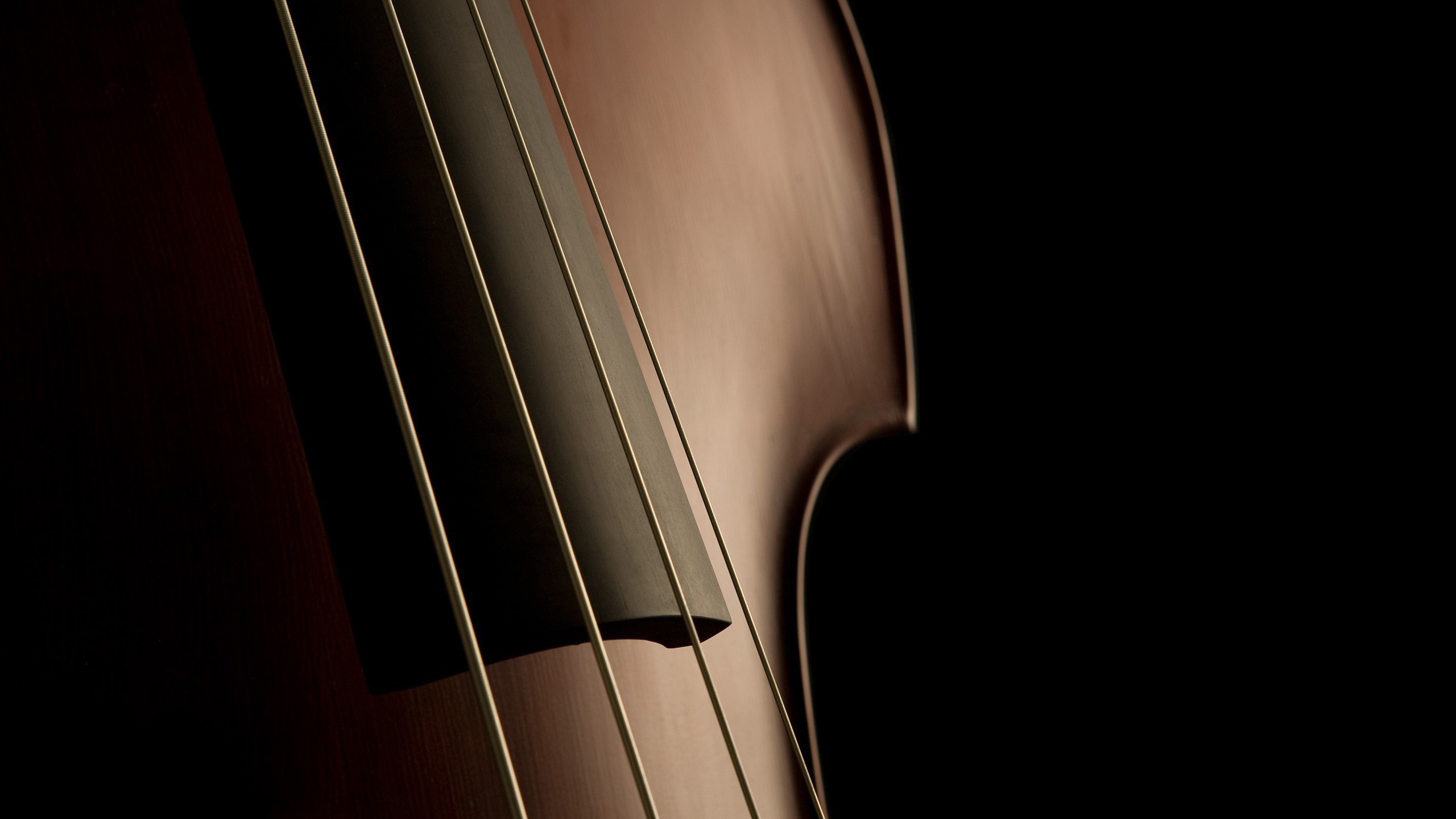 Cello Musical Instrument Simple Background 2560x1440