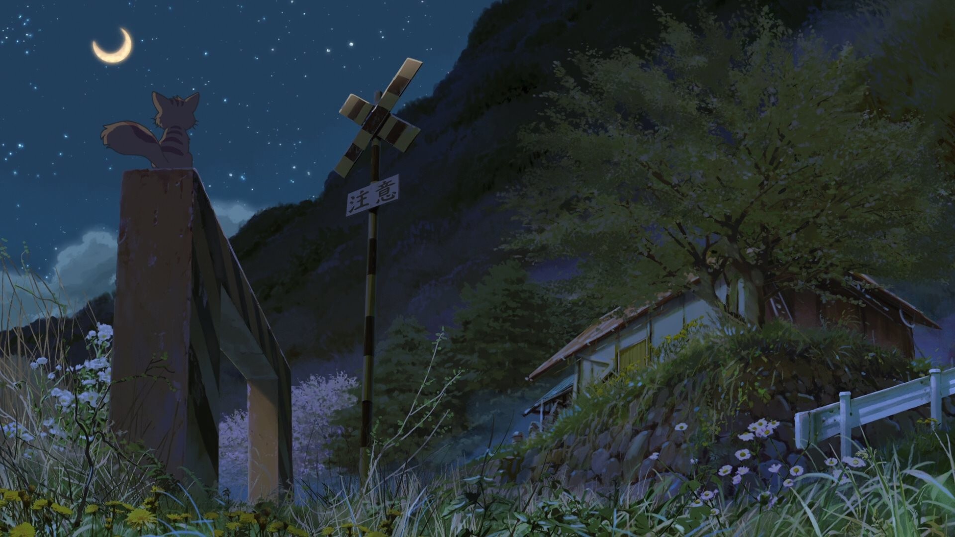 Hoshi Wo Ou Kodomo Night Sky Cats Outdoors Moon Anime 1920x1080