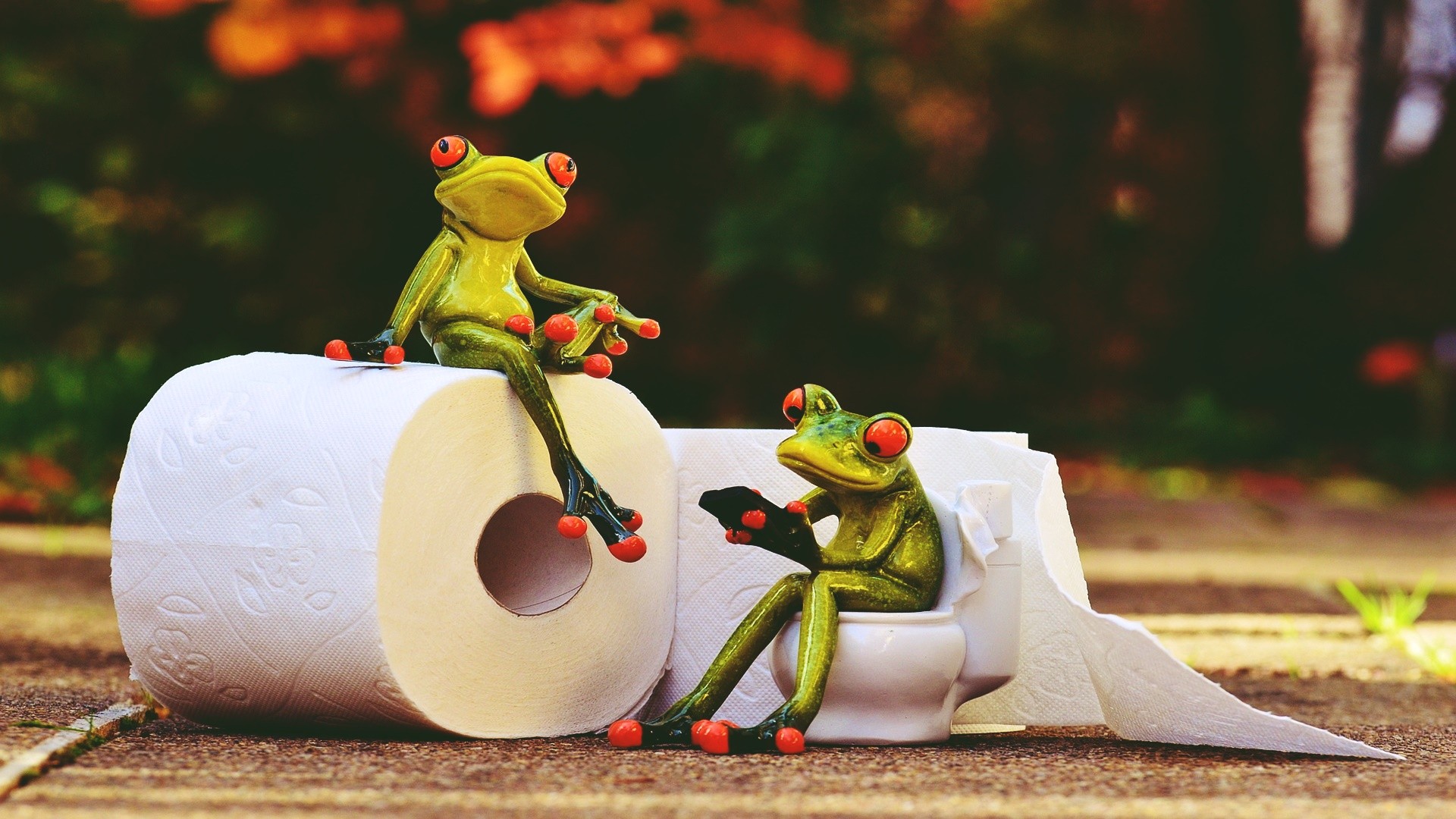 Retro Style Frog Toilet Paper Animals 1920x1080