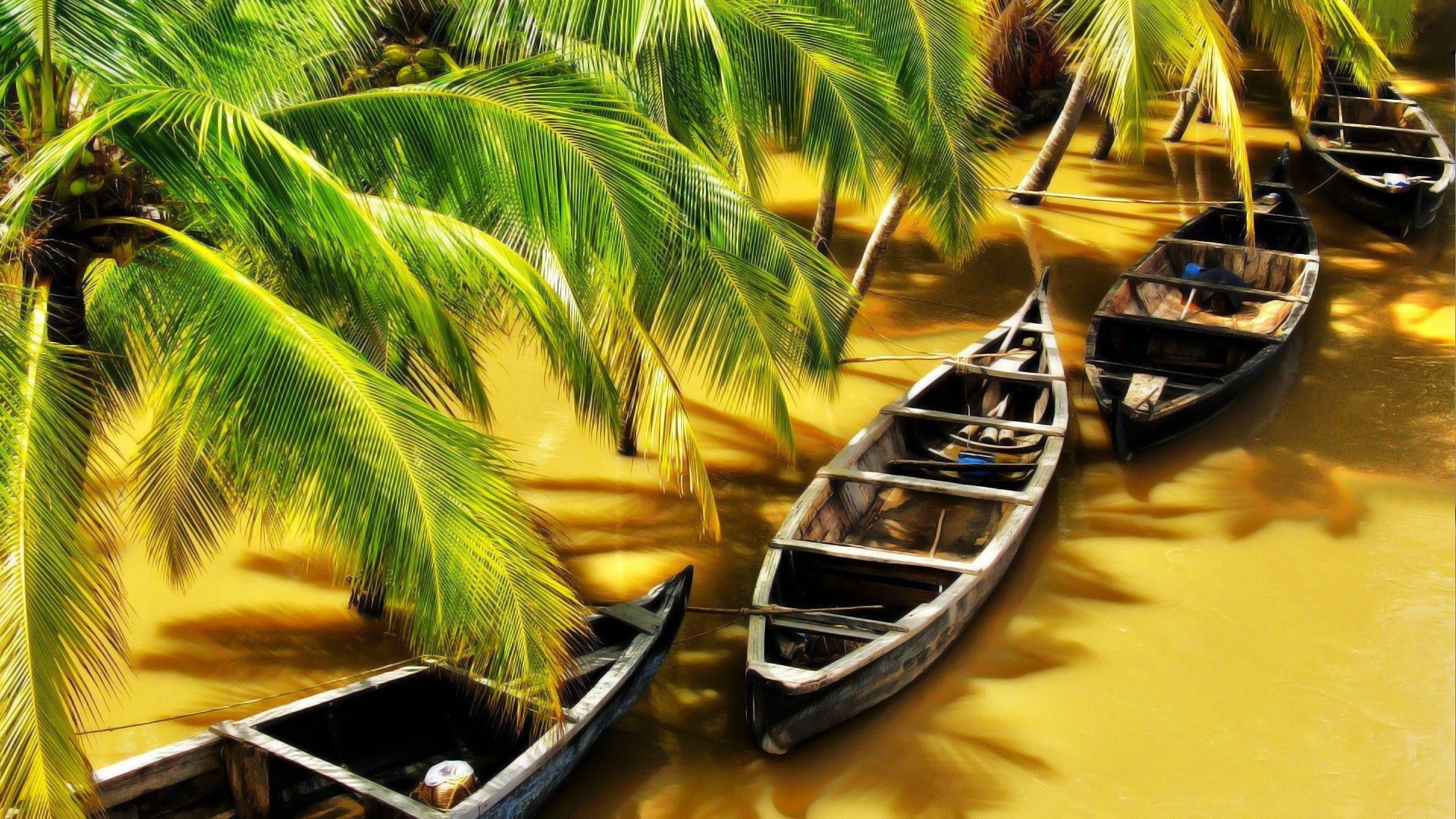 Nature Water Boat River Palm Trees India Flood Sunlight Shadow Wood Yellow 1920x1080