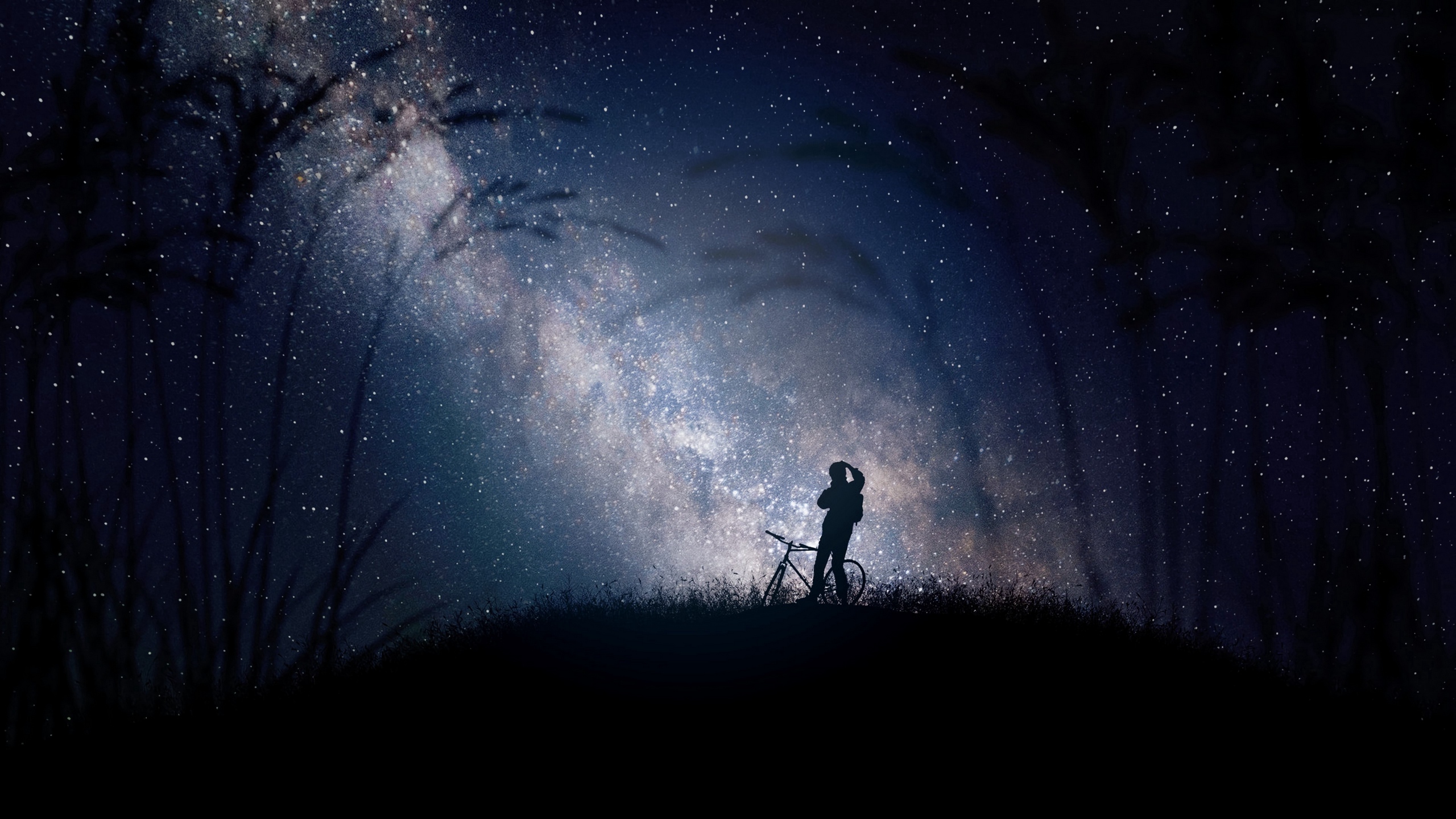 Bicyclist Night Stars Starry Night Milky Way Silhouette Bicycle Space Sky Landscape Dark Biker 2560x1440