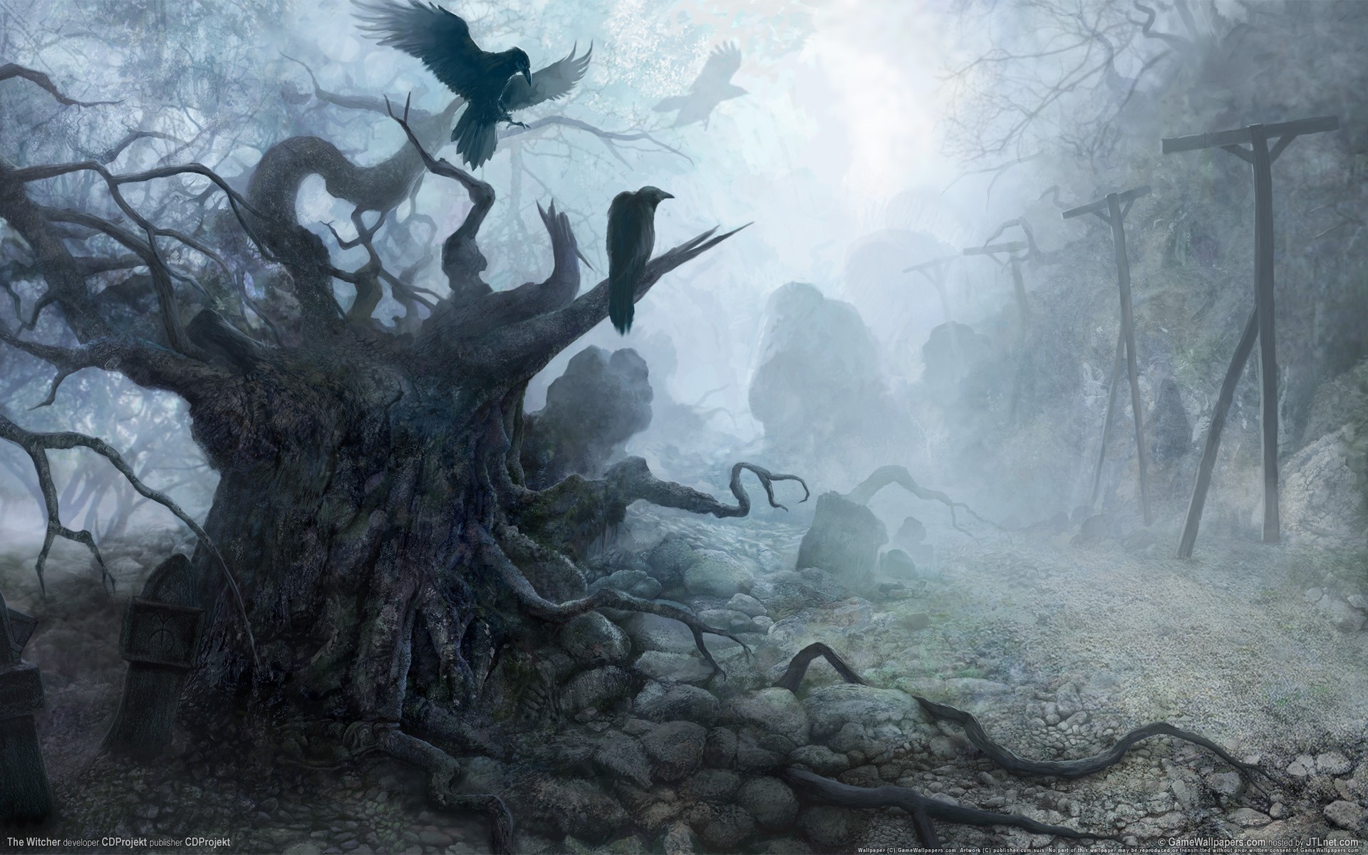 Raven Deep Forest Mist The Witcher Fantasy Art Video Games Raven 1920x1200