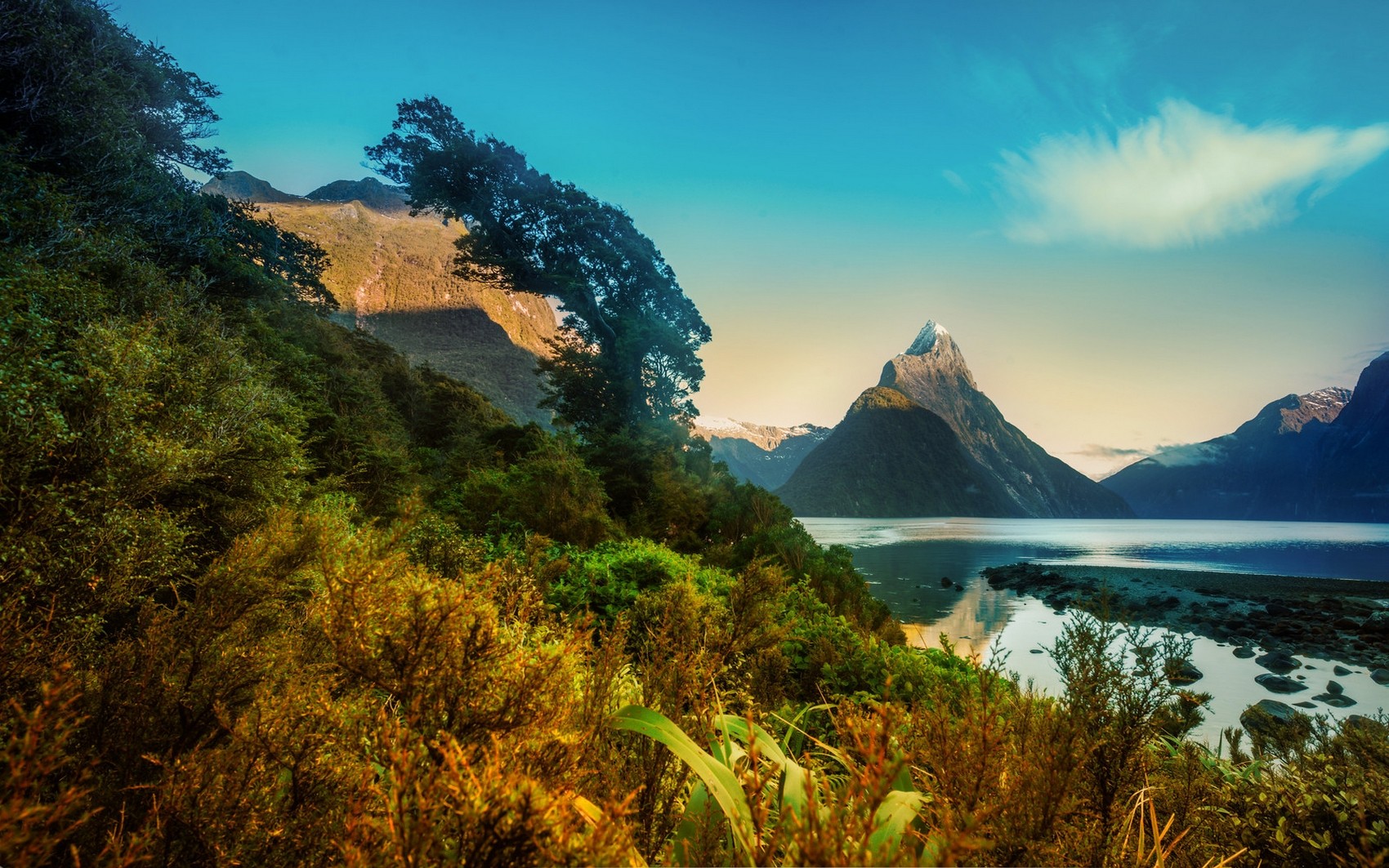Nature Landscape Morning Mountains Fjord Snowy Peak Milford Sound New Zealand Trees Shrubs 1700x1063