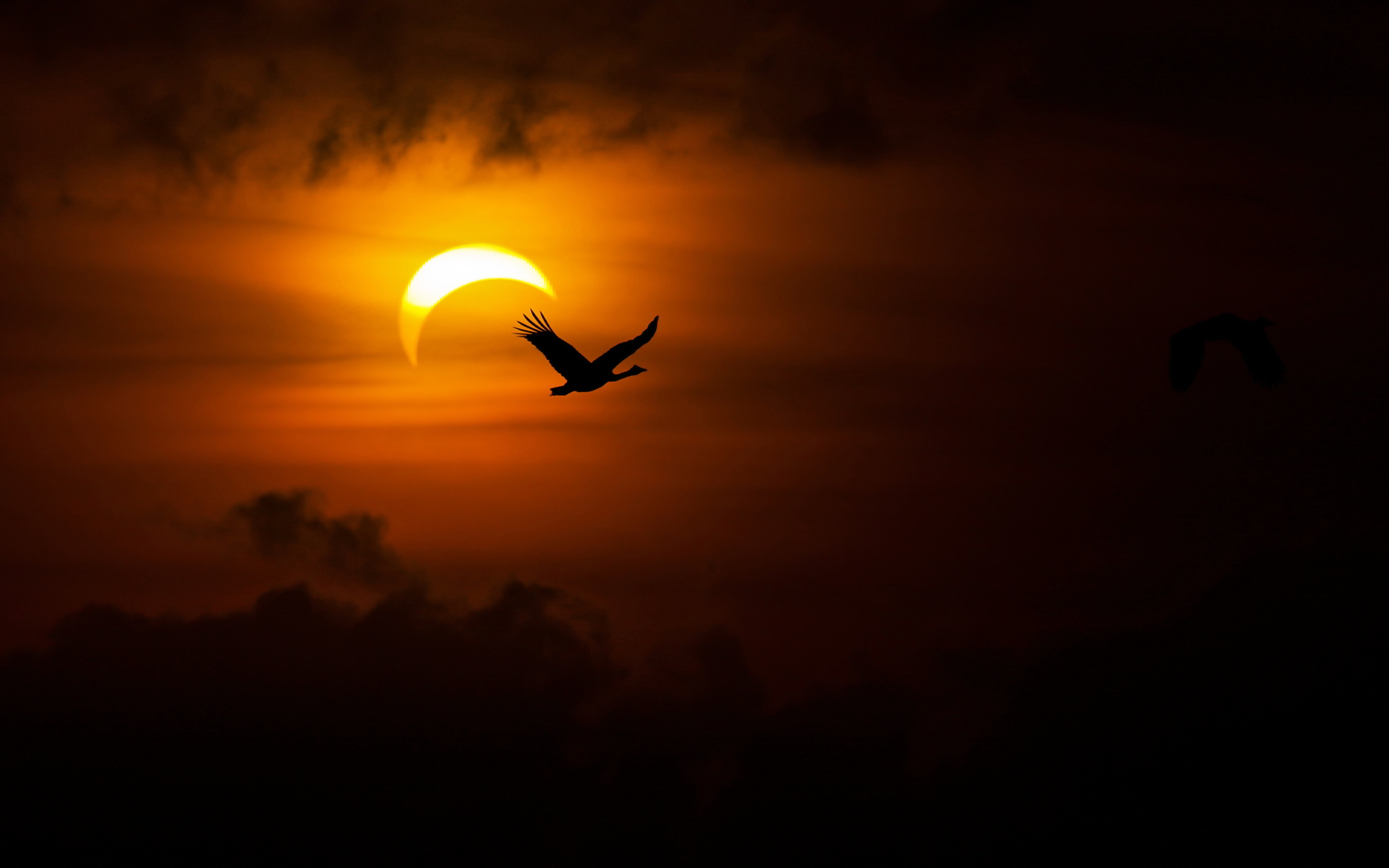 Solar Eclipse Sky Sun Bird Cloud Nature 3840x2400