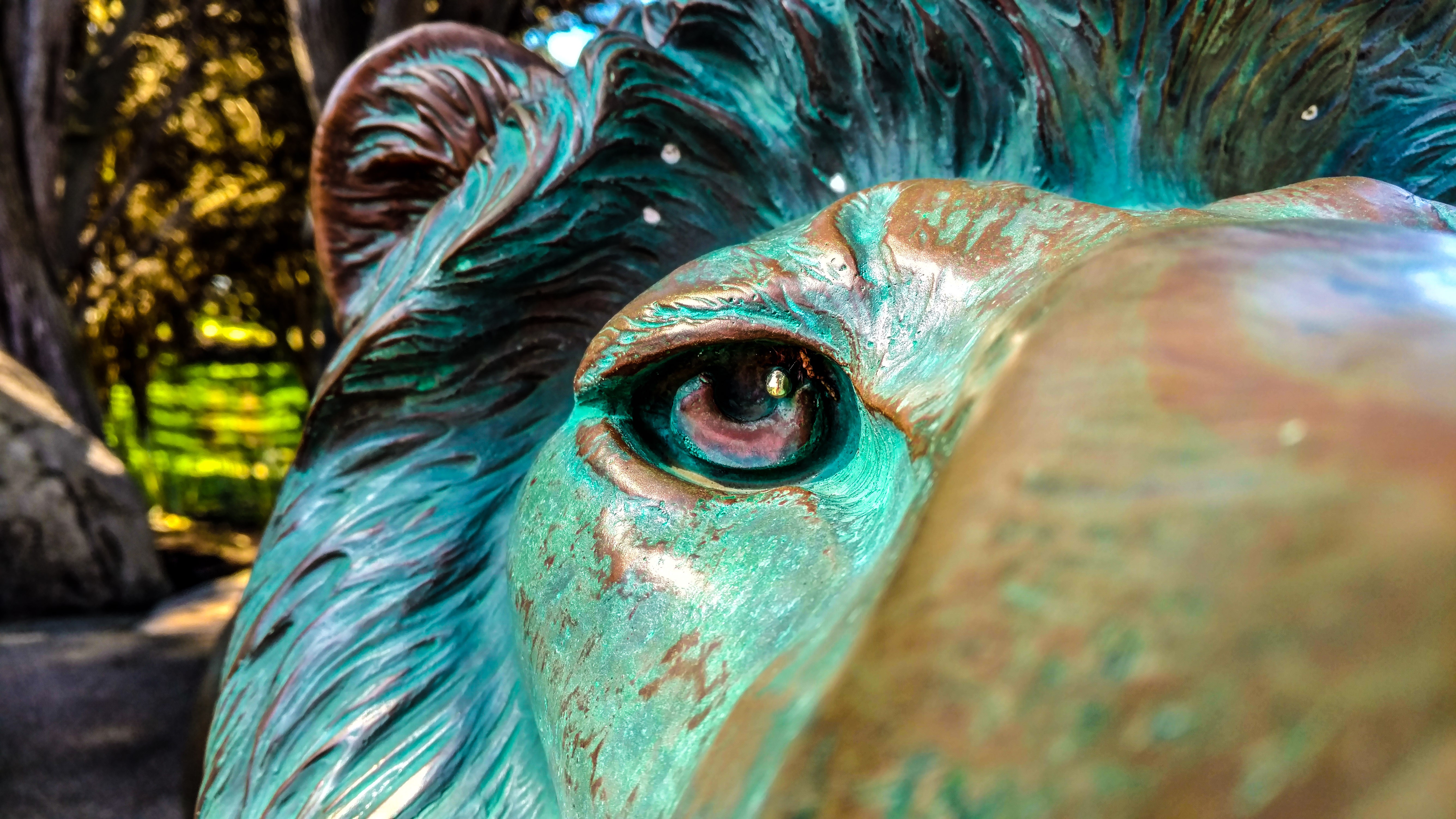 Lion Animals San Francisco Green Blue Copper Turquoise 5344x3006