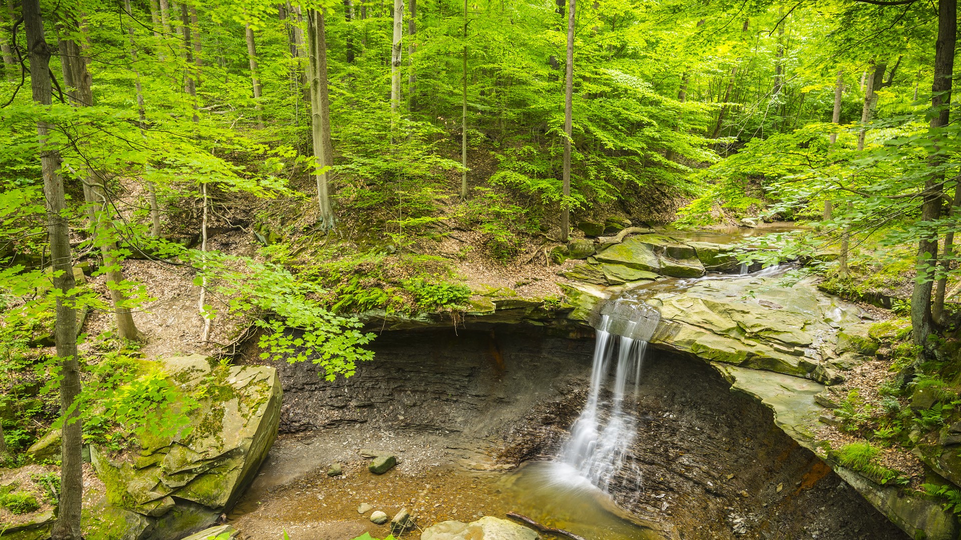 Nature Trees Forest Waterfall Rocks Leaves Moss Long Exposure Tropical Ohio USA 1920x1080