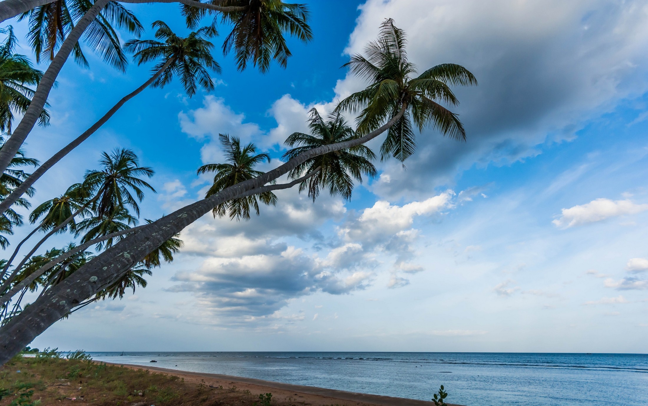 Nature Landscape Palm Trees Beach Tropical Sea Sri Lanka Clouds Water 2200x1377