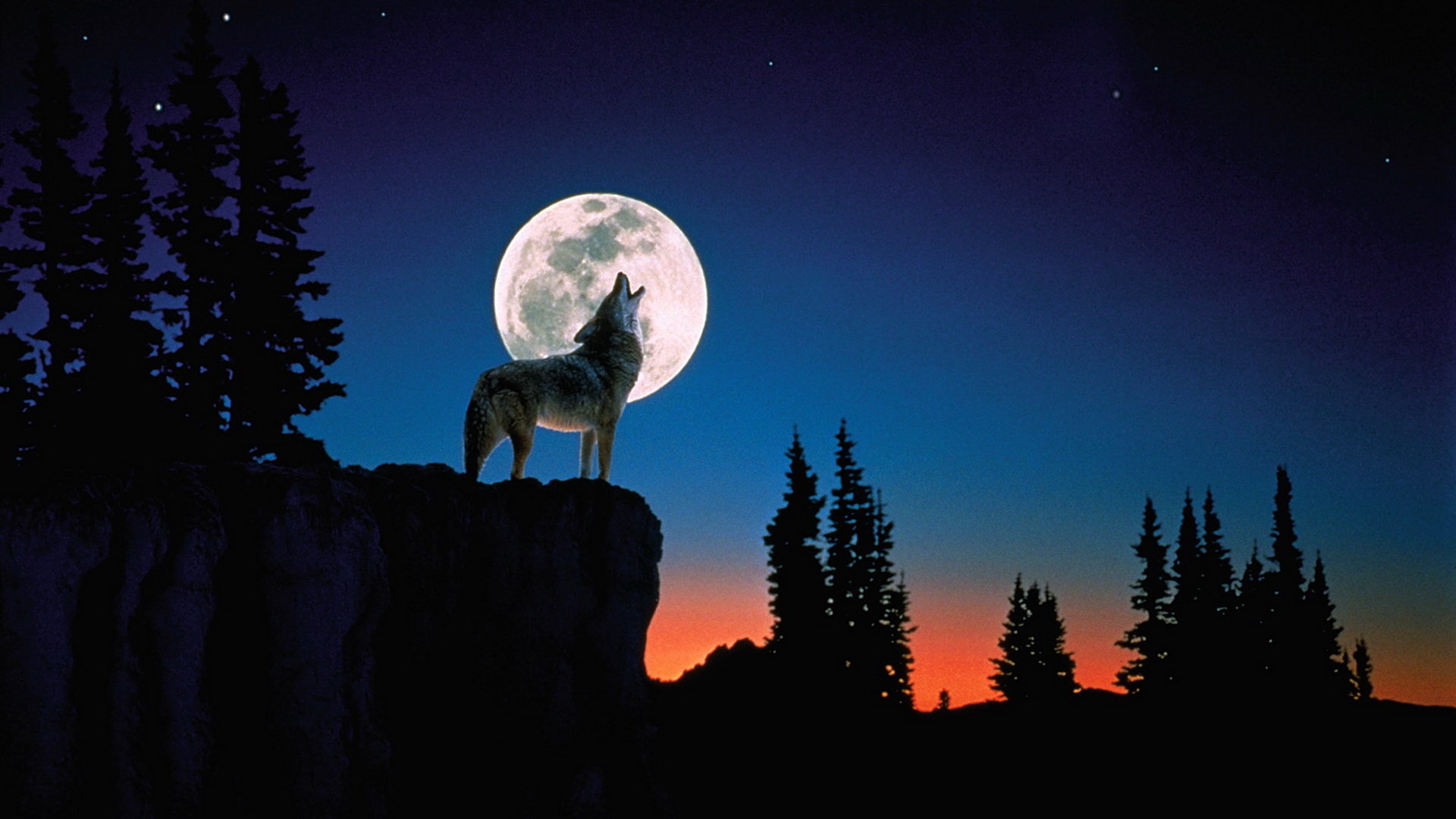 Artistic Moon Night Wolf Howling 1920x1080