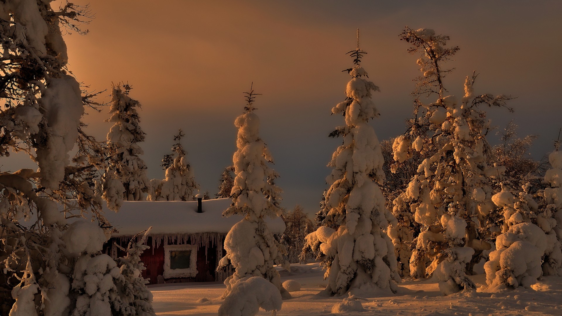Landscape Pine Trees Snow Cottage Winter Icicle 1920x1080