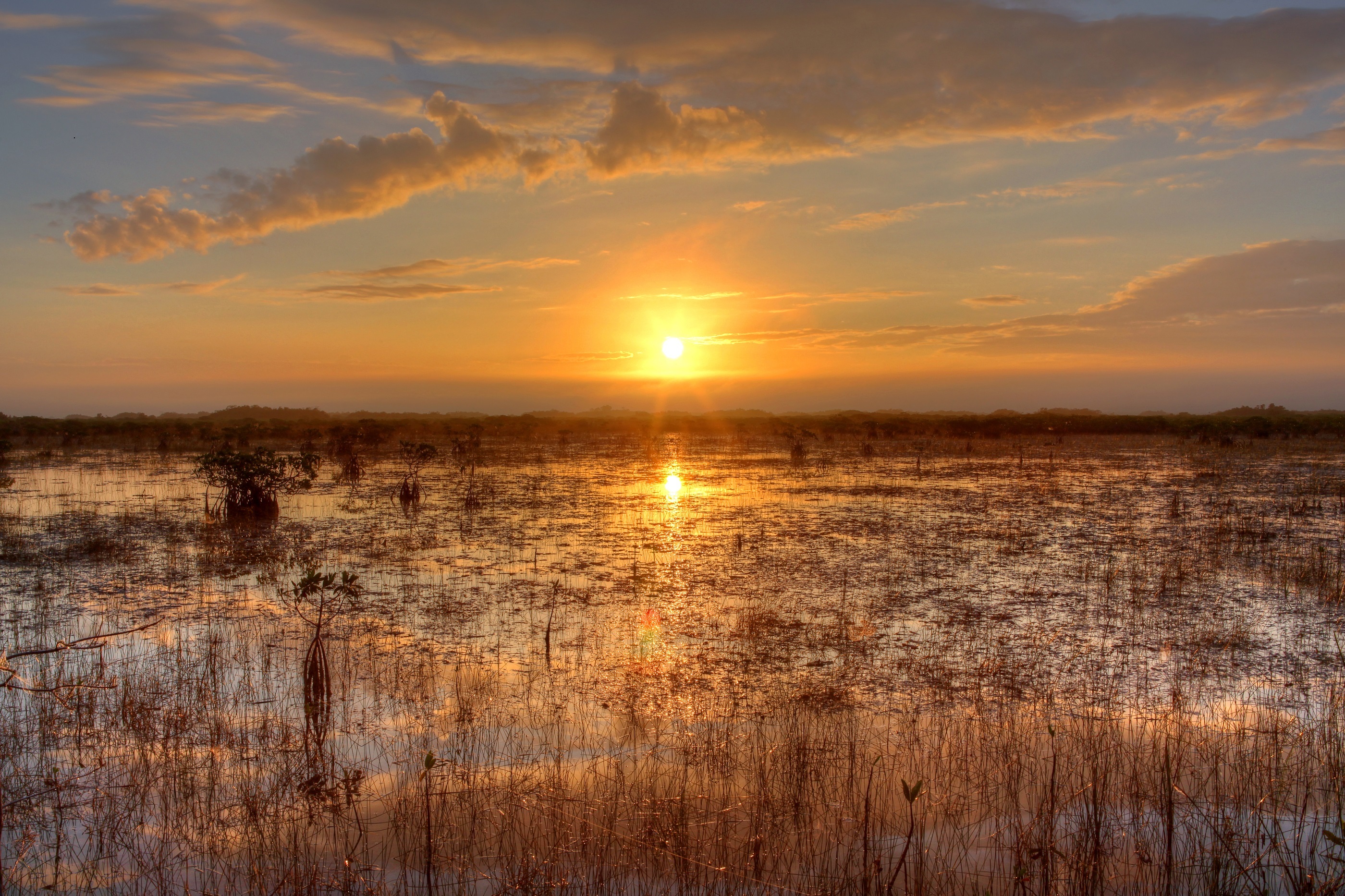 Sunset Nature Swamp Sun Sky Cloud Everglades Florida USA Horizon 2800x1866