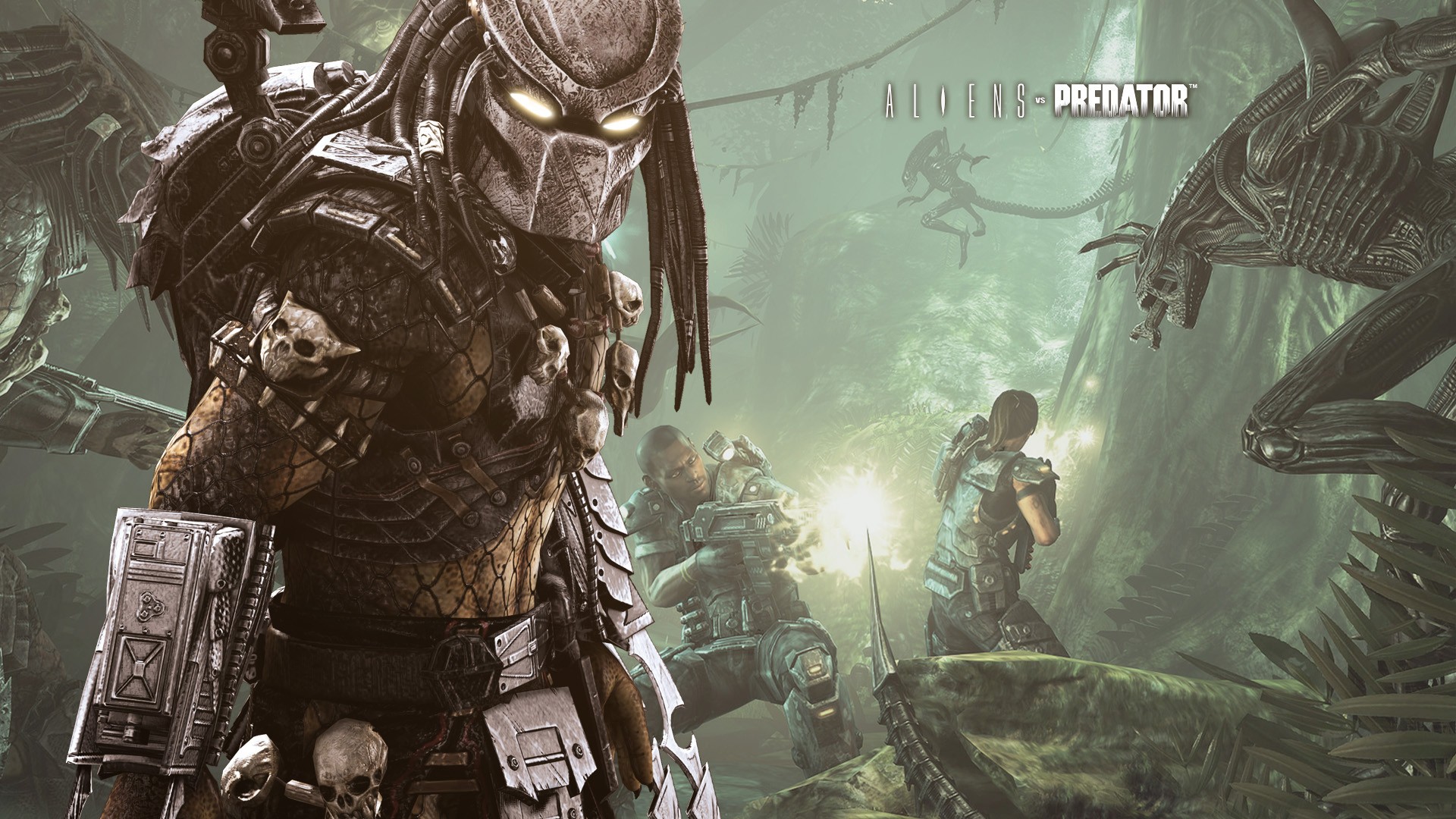 Alien Vs Predator Movie Alien Predator 1920x1080