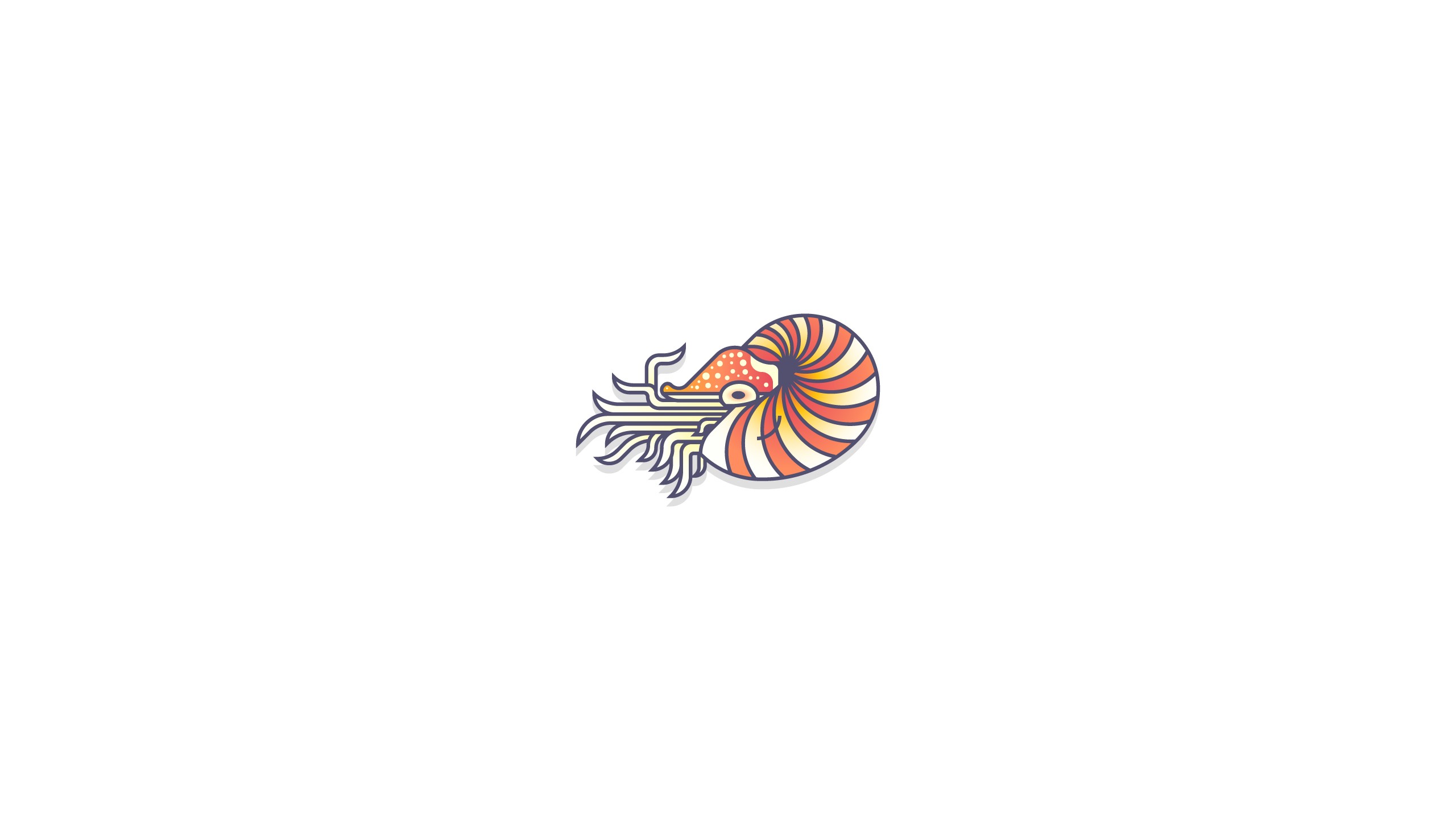 Illustration White Background Nautilus Minimalism 2560x1440