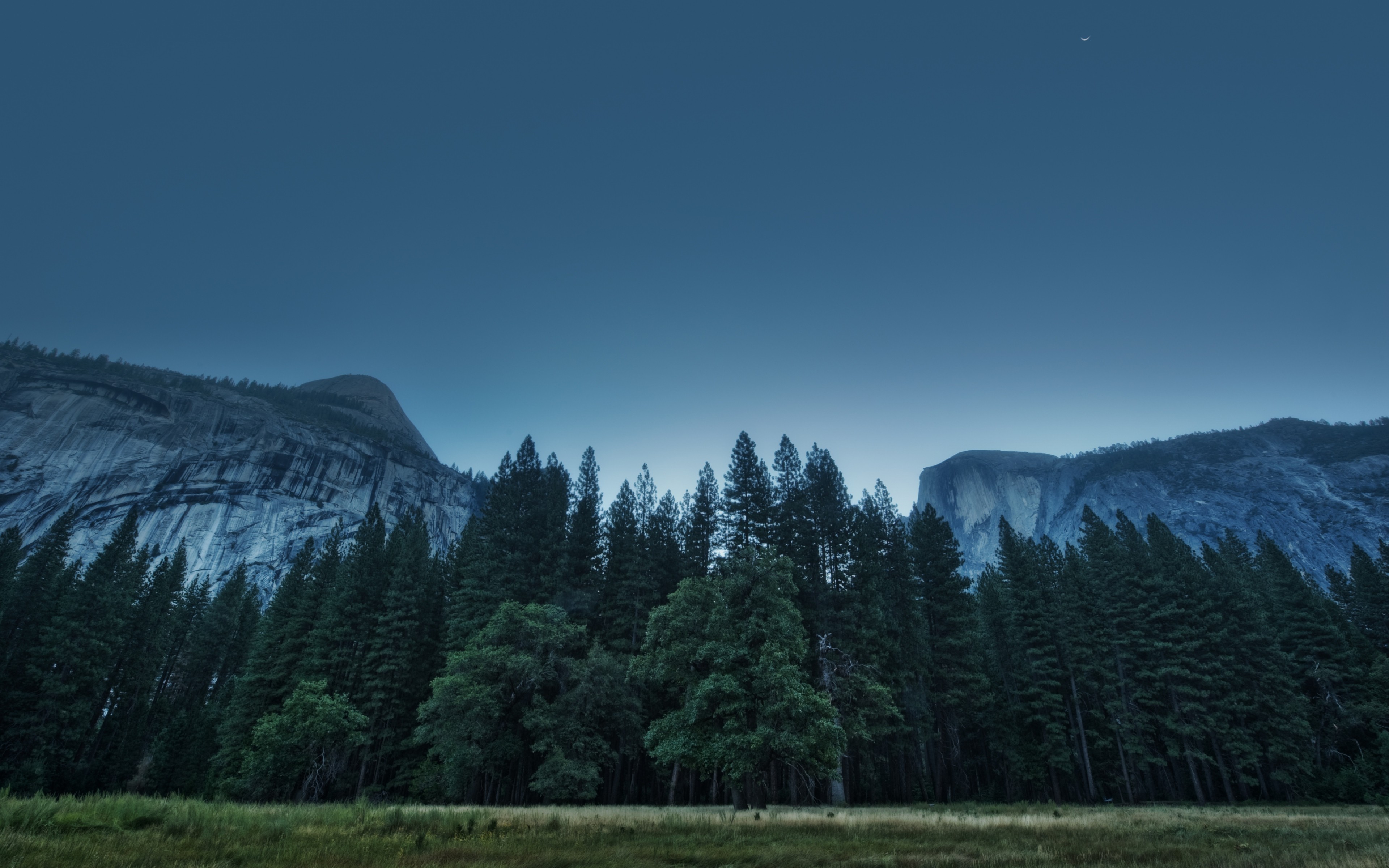 Landscape Nature Pine Trees Yosemite Valley Yosemite National Park Cliff 3840x2400