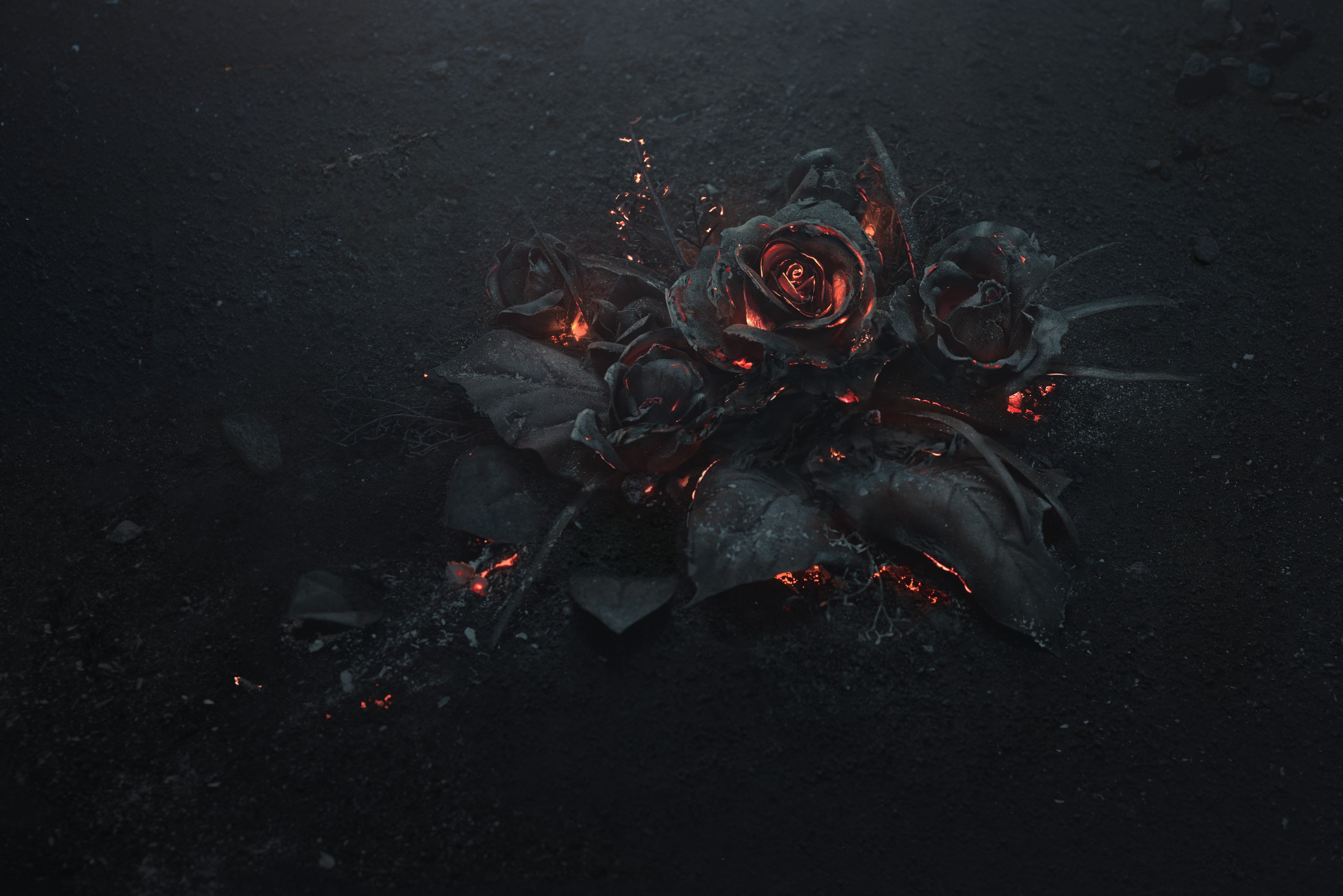 Rose Ash Burning Black Abstract Flowers Fire Rose Ash 5000x3337