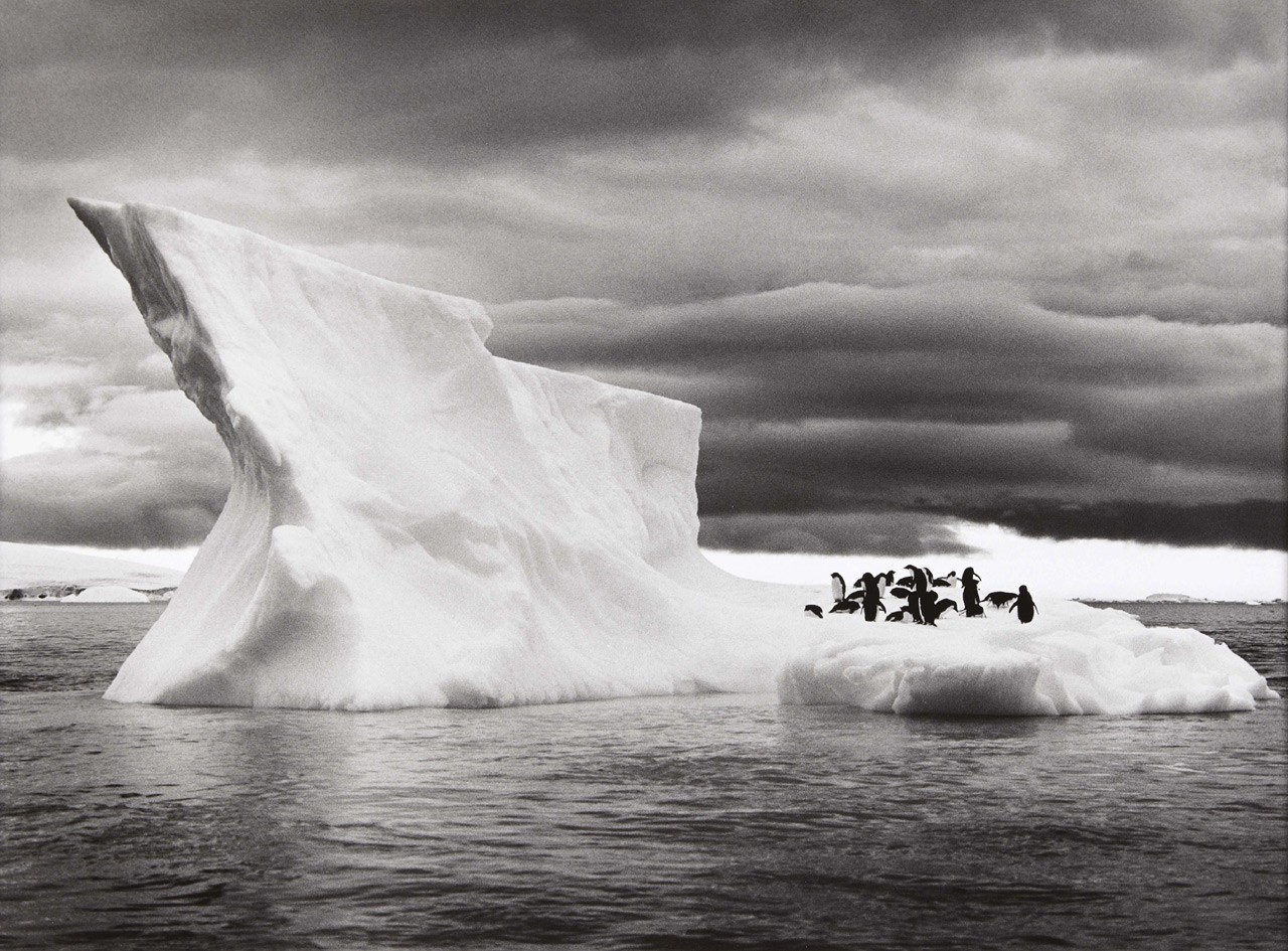 Nature Landscape Animals Ice Penguins Iceberg Monochrome Sebastiao Salgado Antarctica Sea Clouds Pho 1280x945