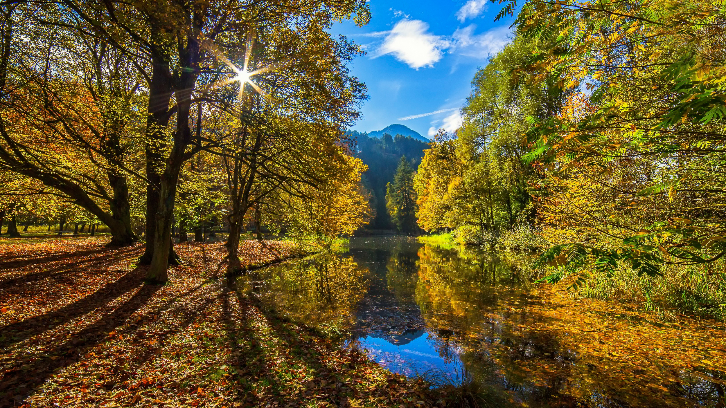 Fall Landscape Tree Nature Tyrol Austria 2500x1406