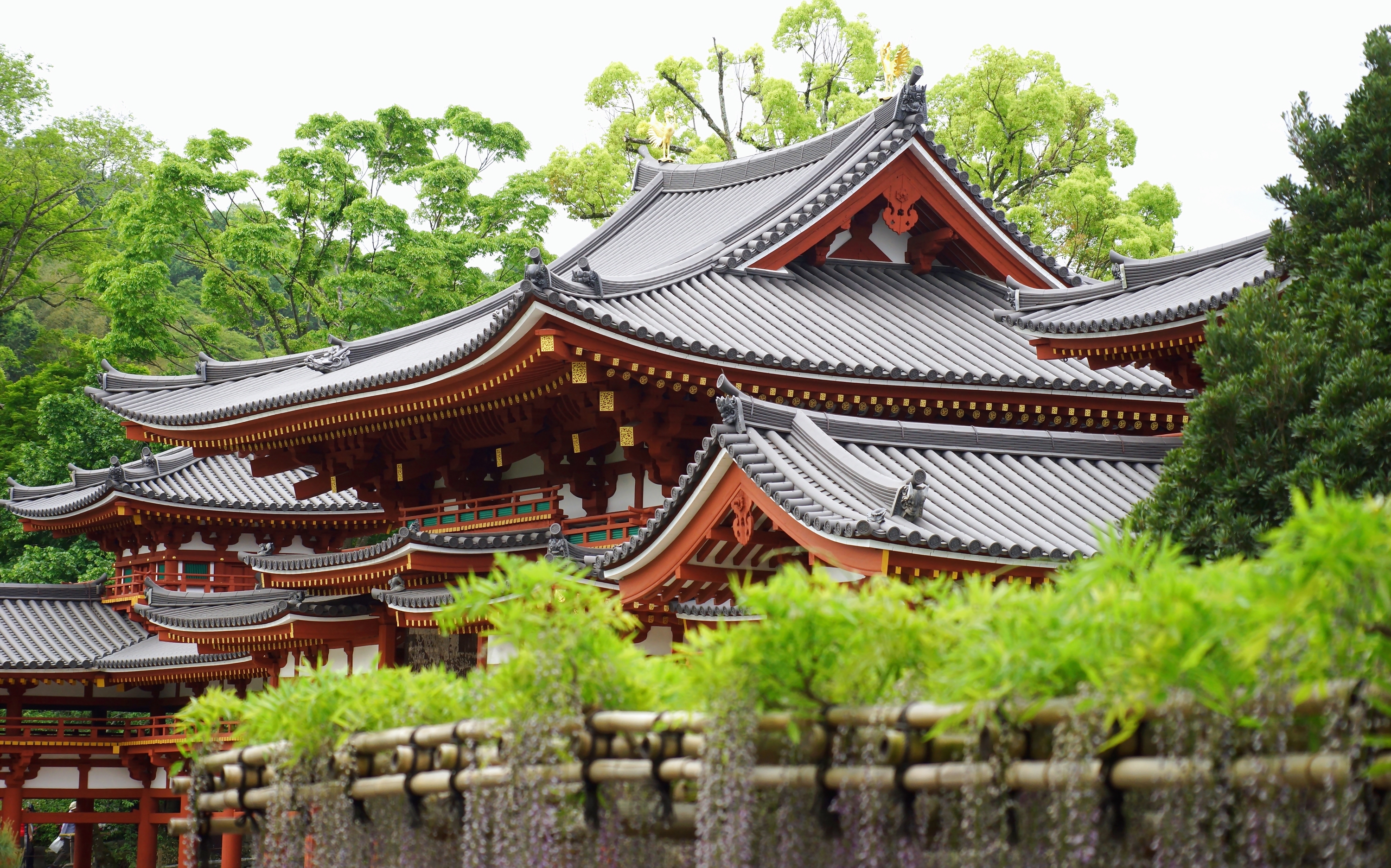 By D In Uji Temple Architecture 3000x1873