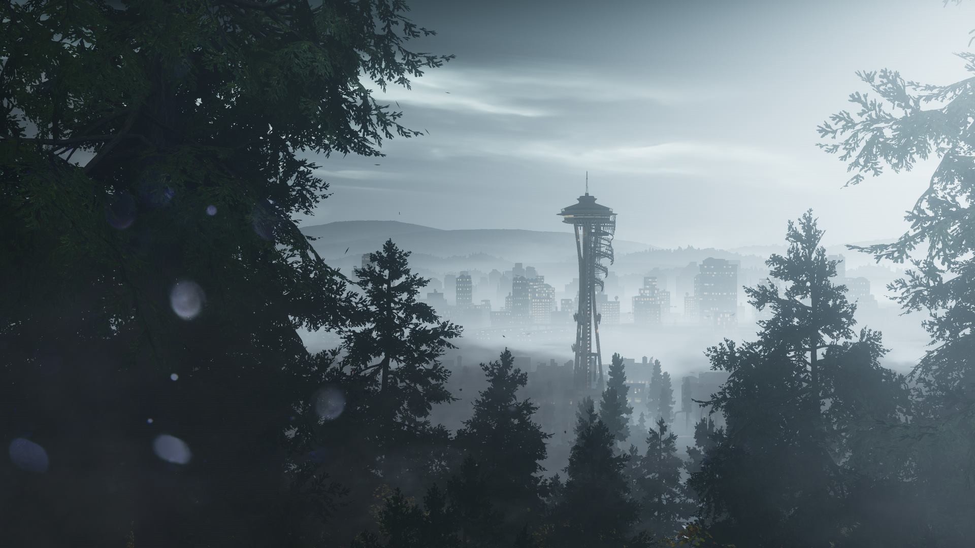 Seattle Trees Future Forest City 1920x1080