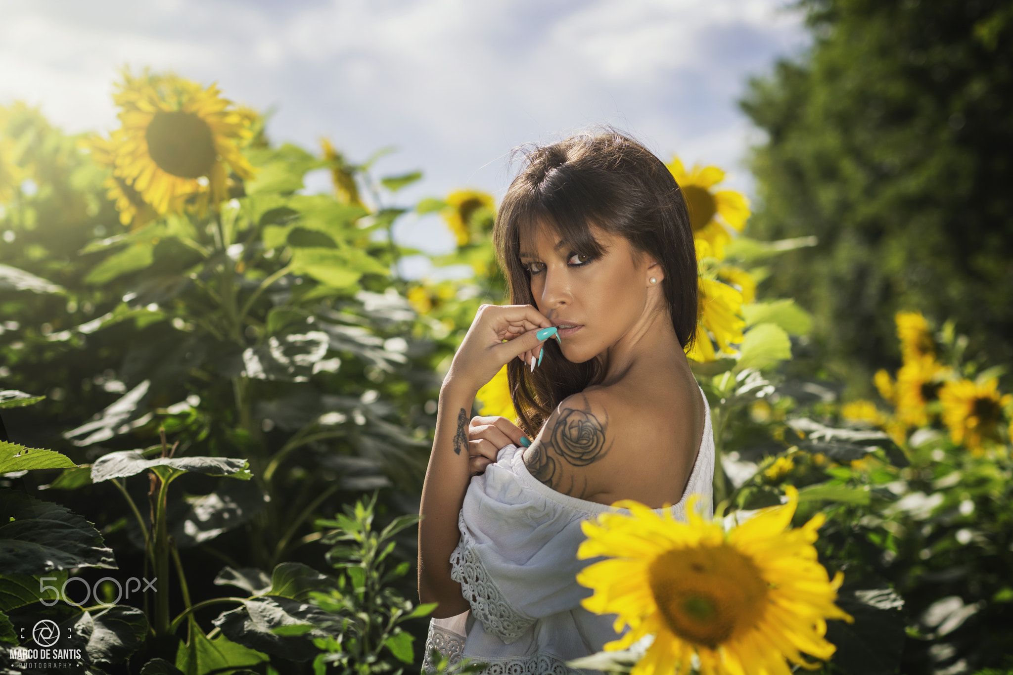 Women Brunette Women Outdoors Portrait Bangs Face Tanned Brown Eyes Tattoo Sunflowers Marco De Santi 2048x1365